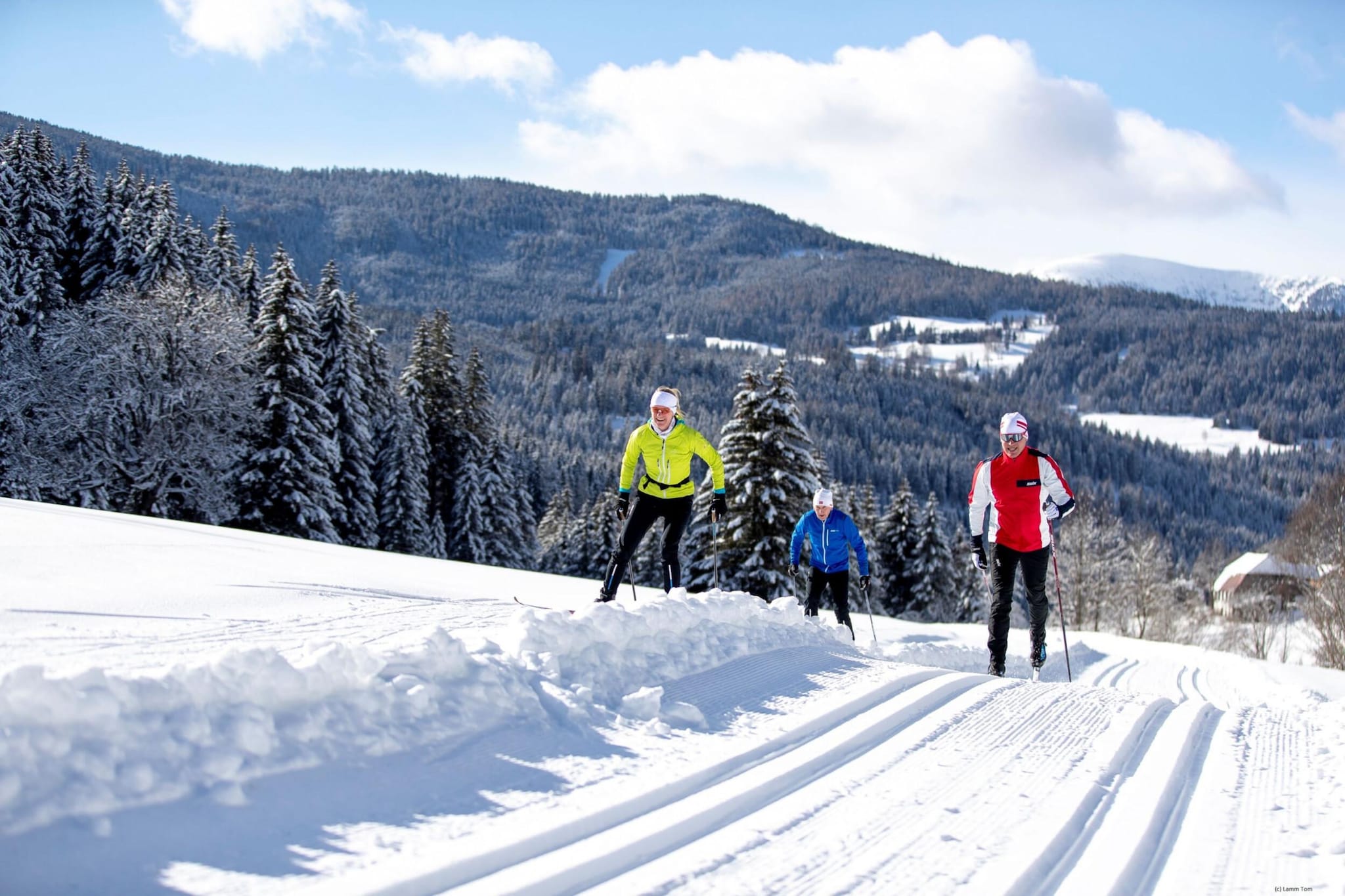 Alpenpark Turrach 33 - Area within 5km in winter