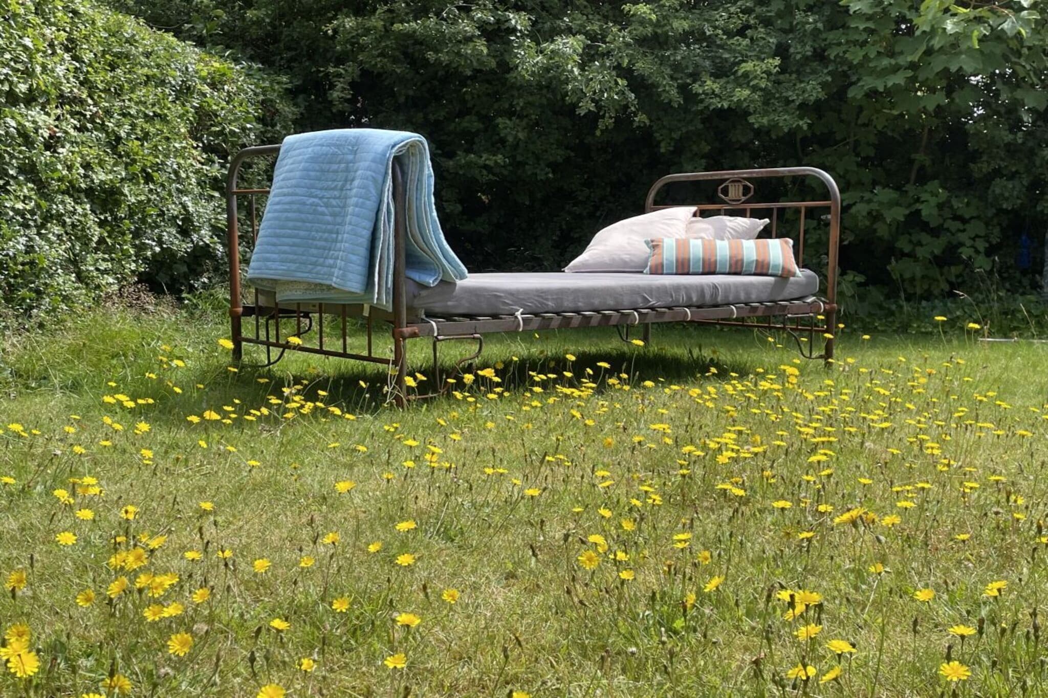 431316 - Garten Sommer