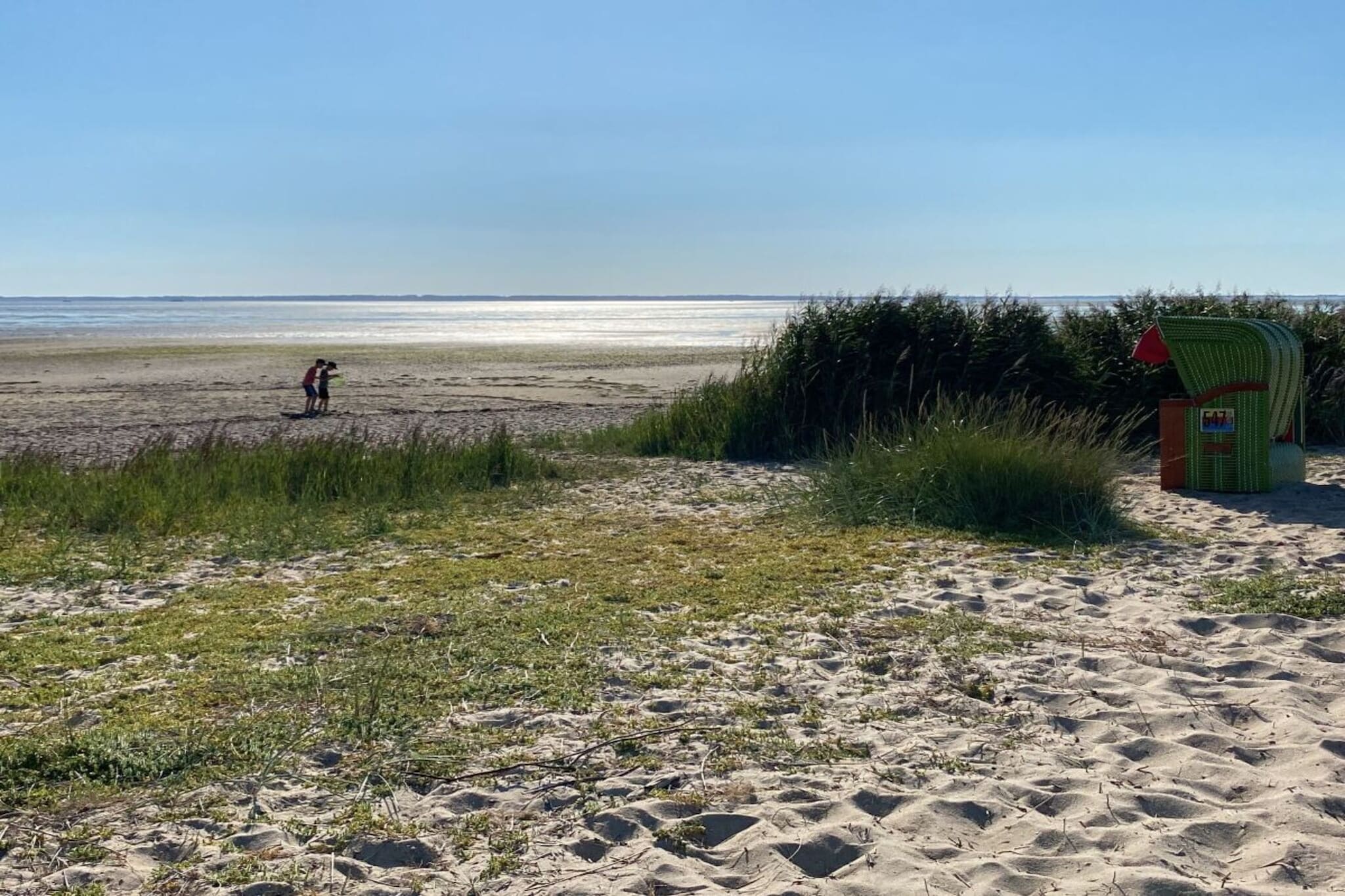 436468 - Areas within 5km in summer