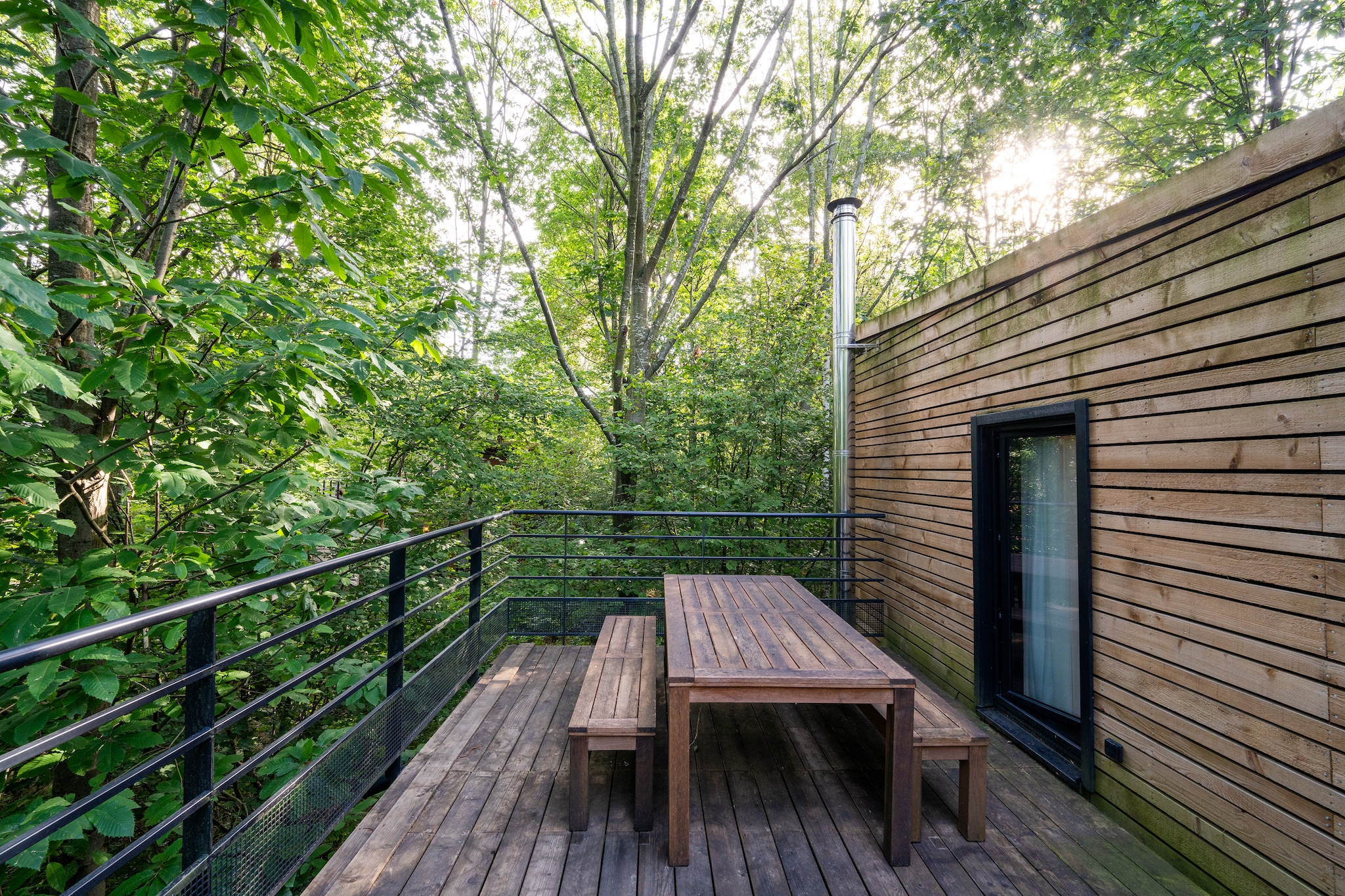 Enchanting Forest Escape