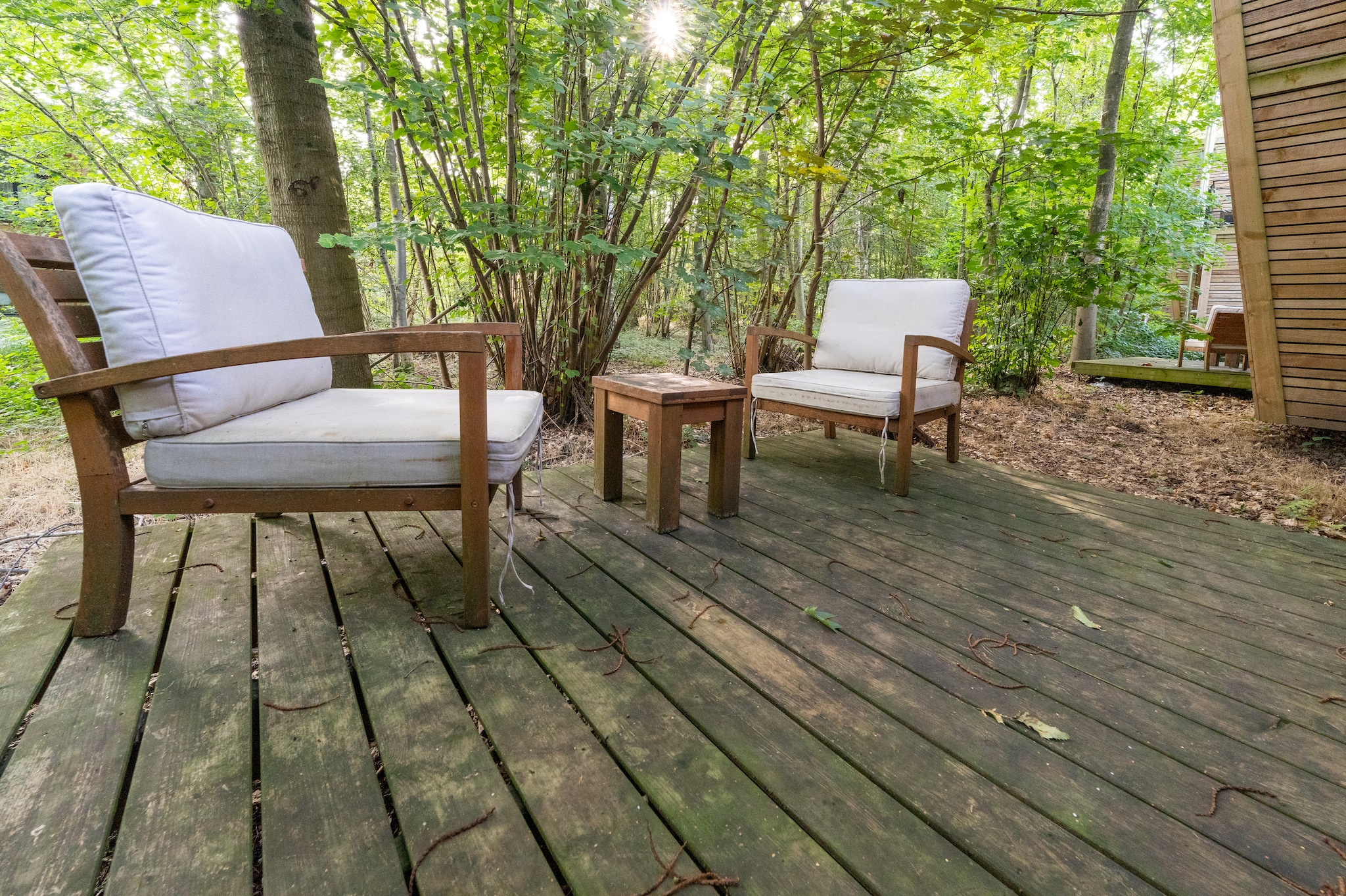 Forest Retreat at Your Nature