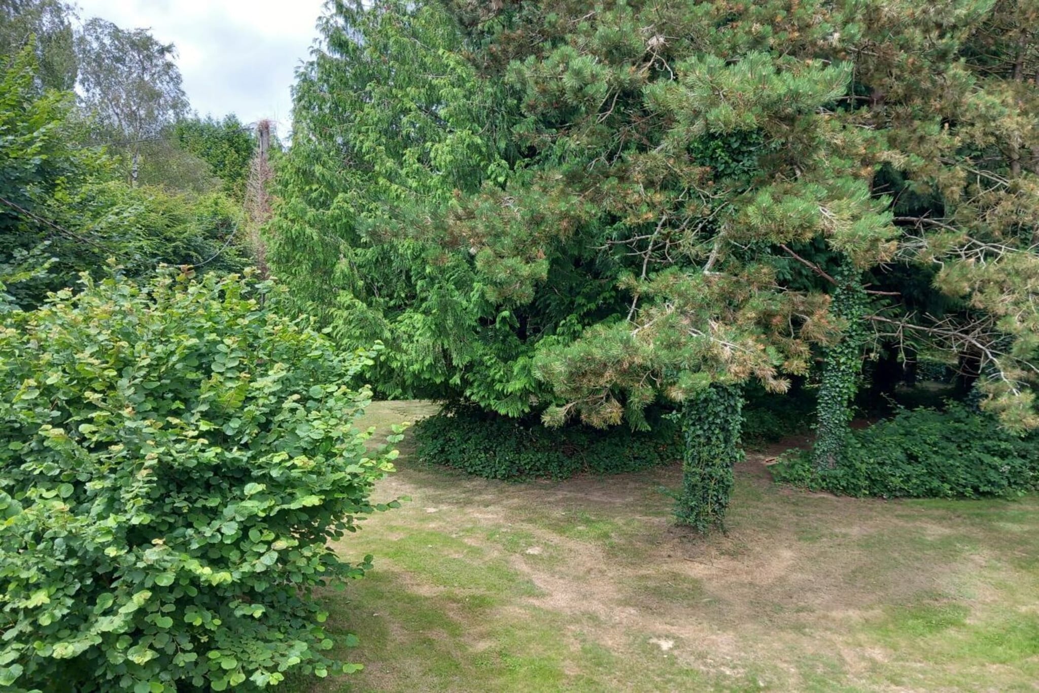 509544-Tuinen zomer
