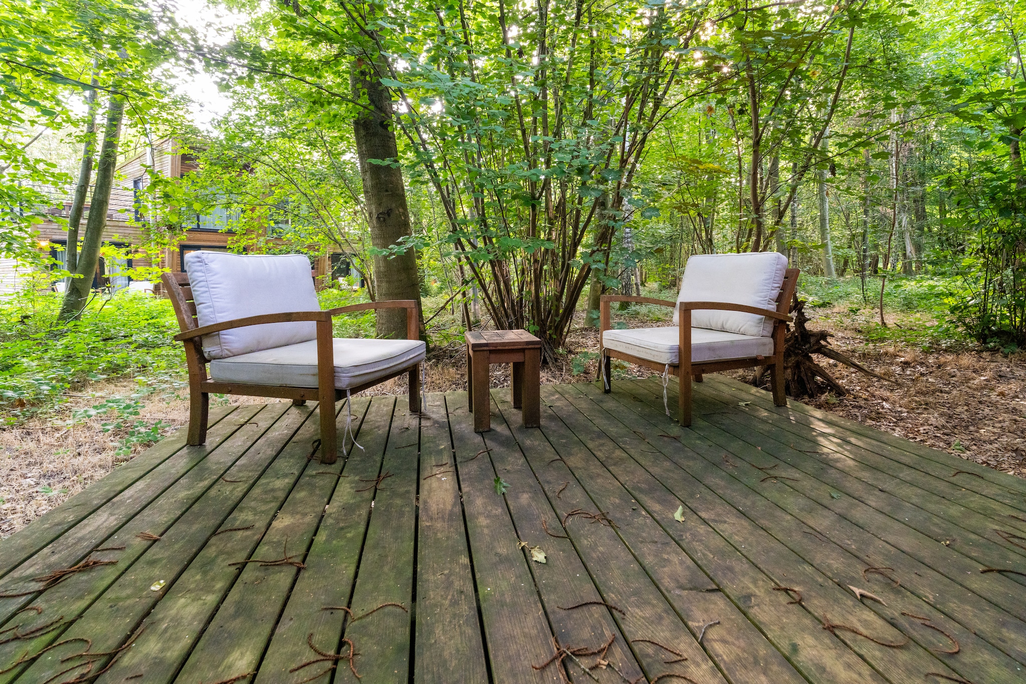 Cozy Forest Escape, Hainaut