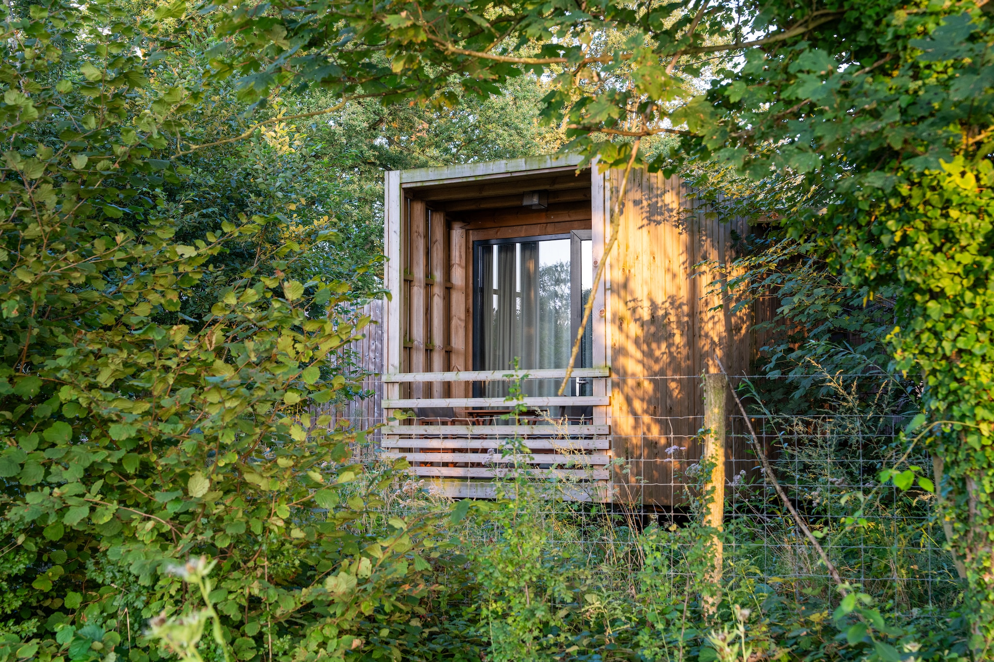 Tranquil Forest Hideaway