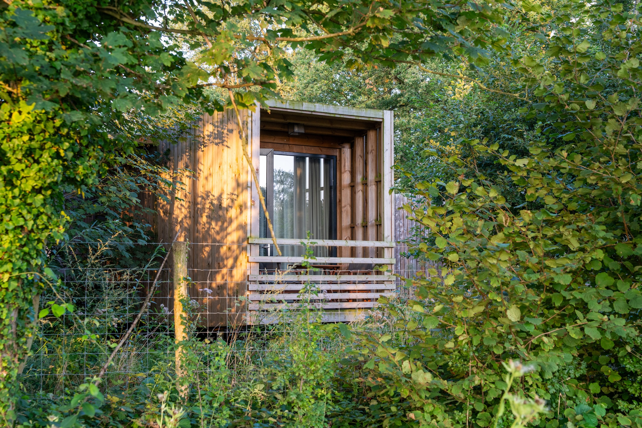 Treetop Tranquility Stay