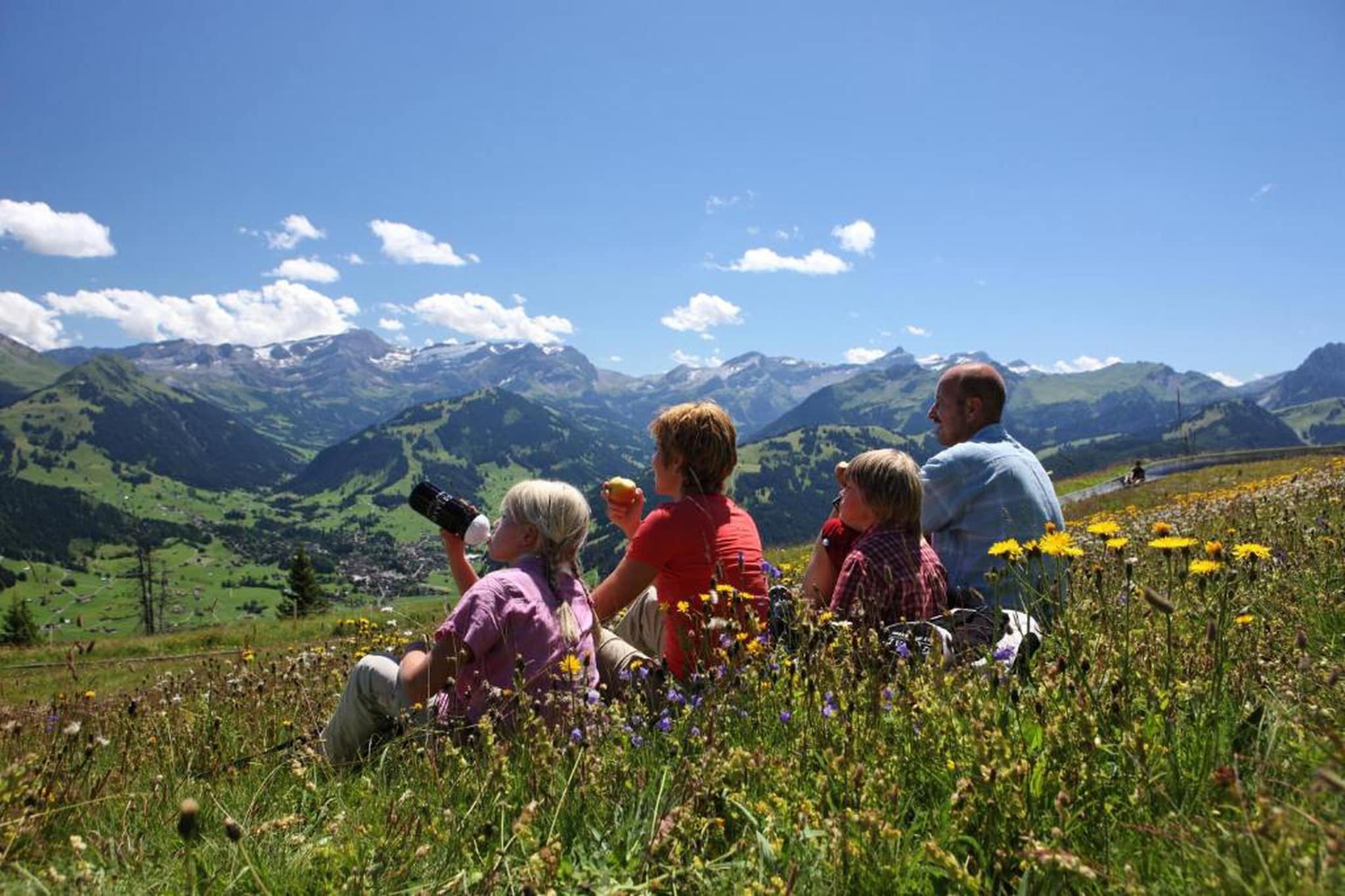 Gstaad Paradise View Chalet with Outdoor Jacuzzi-Gebieden zomer 20km