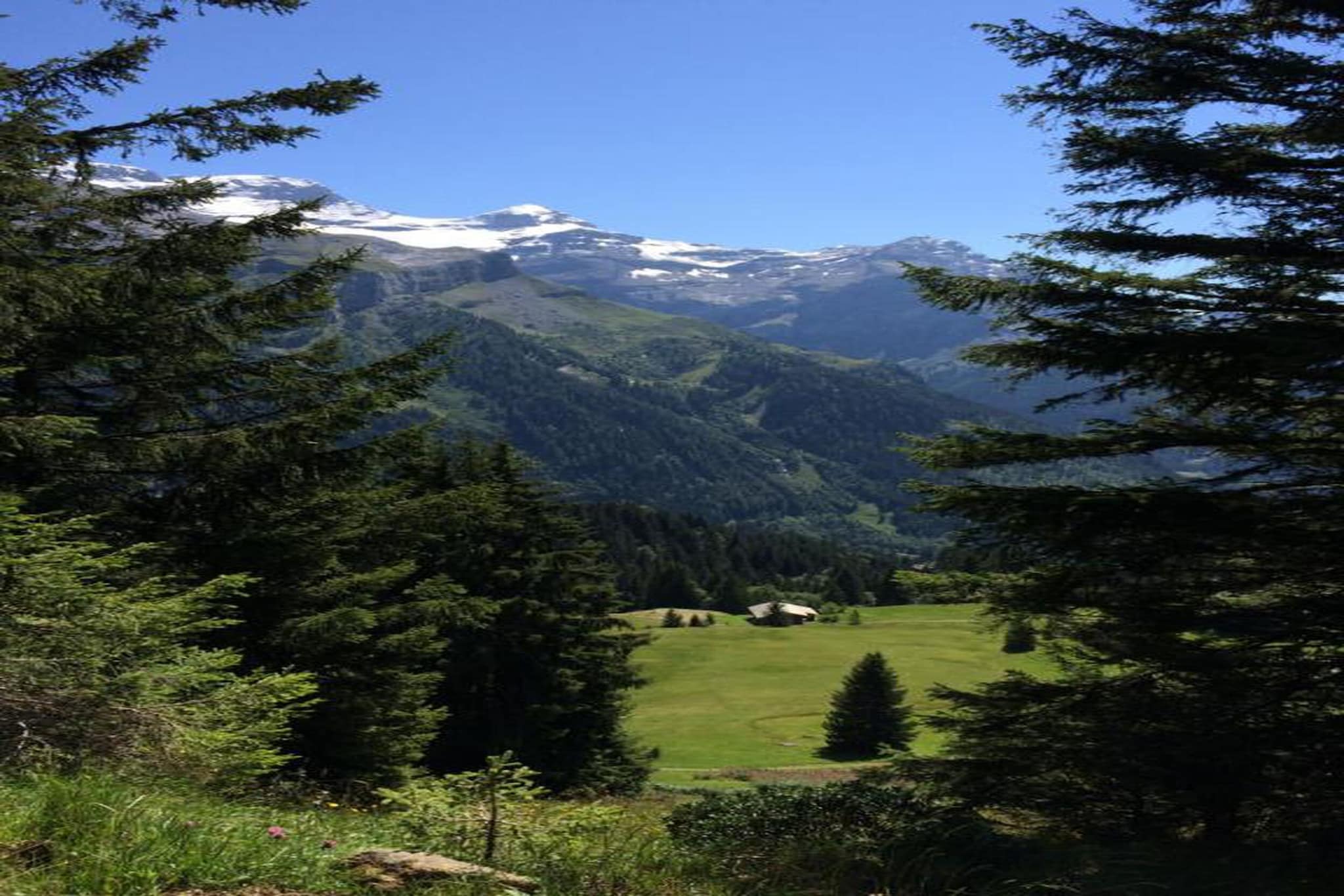 Gstaad Paradise View Chalet with Outdoor Jacuzzi-Gebied winter 20km