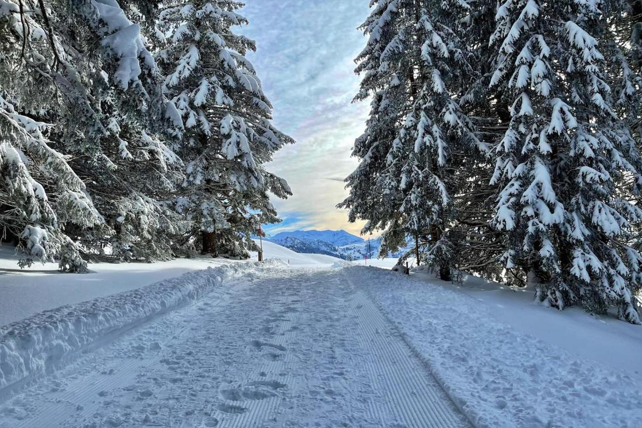 ALP SUNRISE-Gebied winter 20km