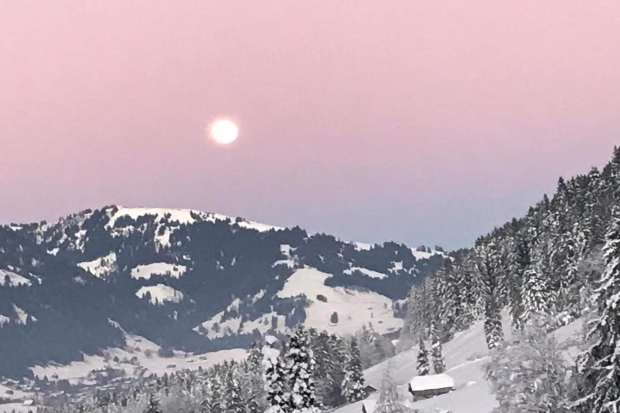Modern Luxury Duplex In Central Gstaad-Gebieden zomer 20km