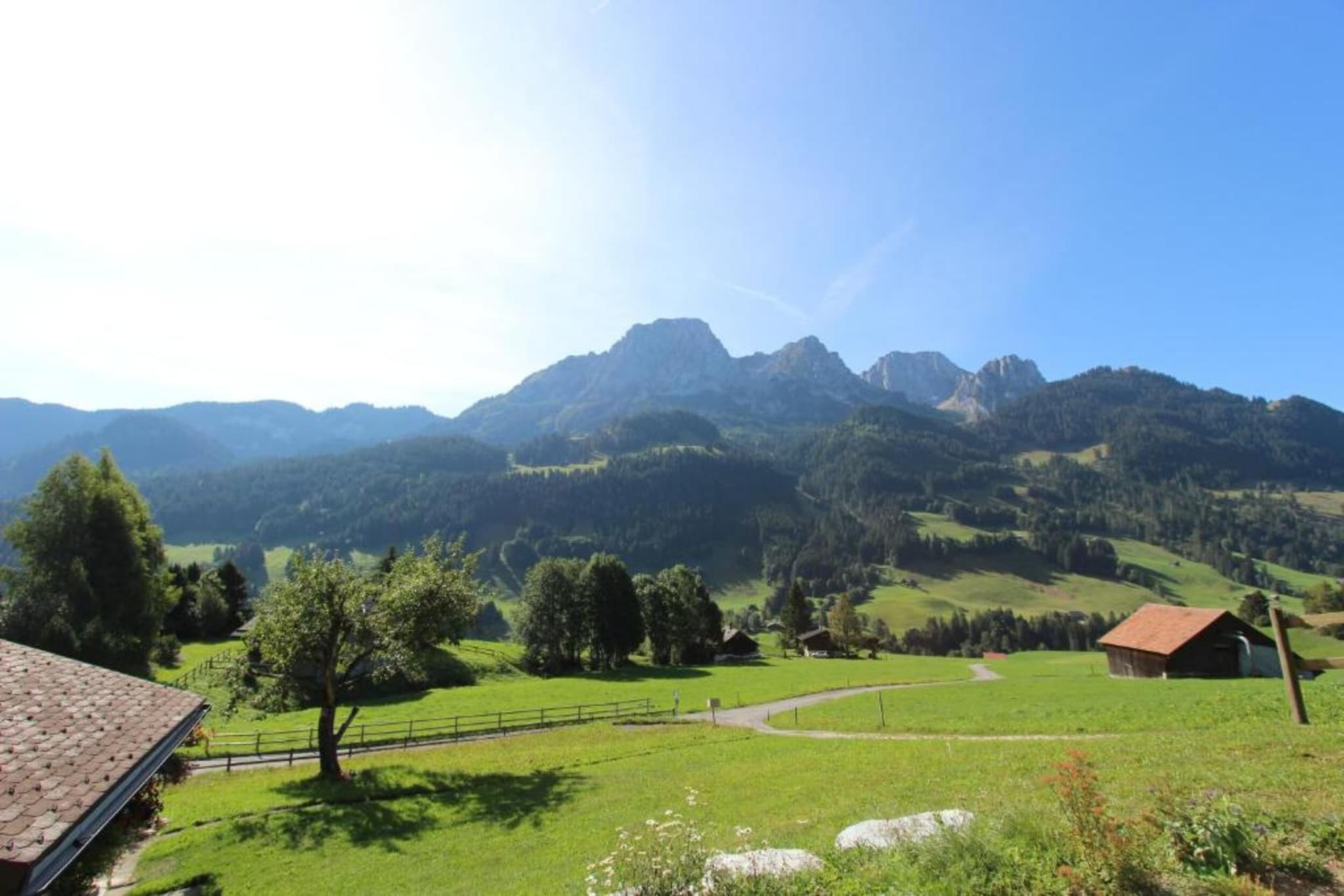 Luxurious Alpine Flat With Hotel Amenities-Gebieden zomer 20km