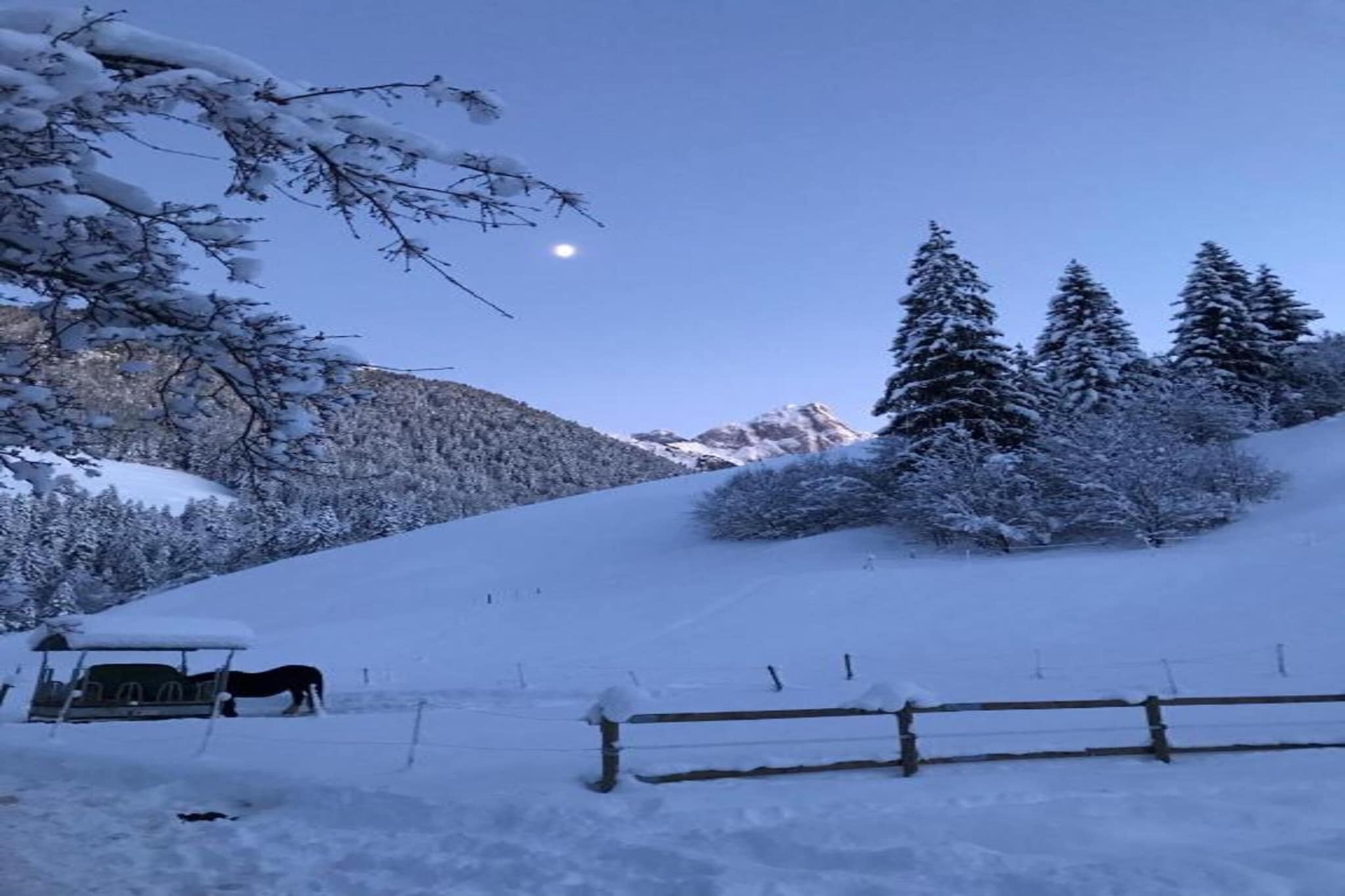 Luxurious Alpine Flat With Hotel Amenities-Gebieden zomer 20km