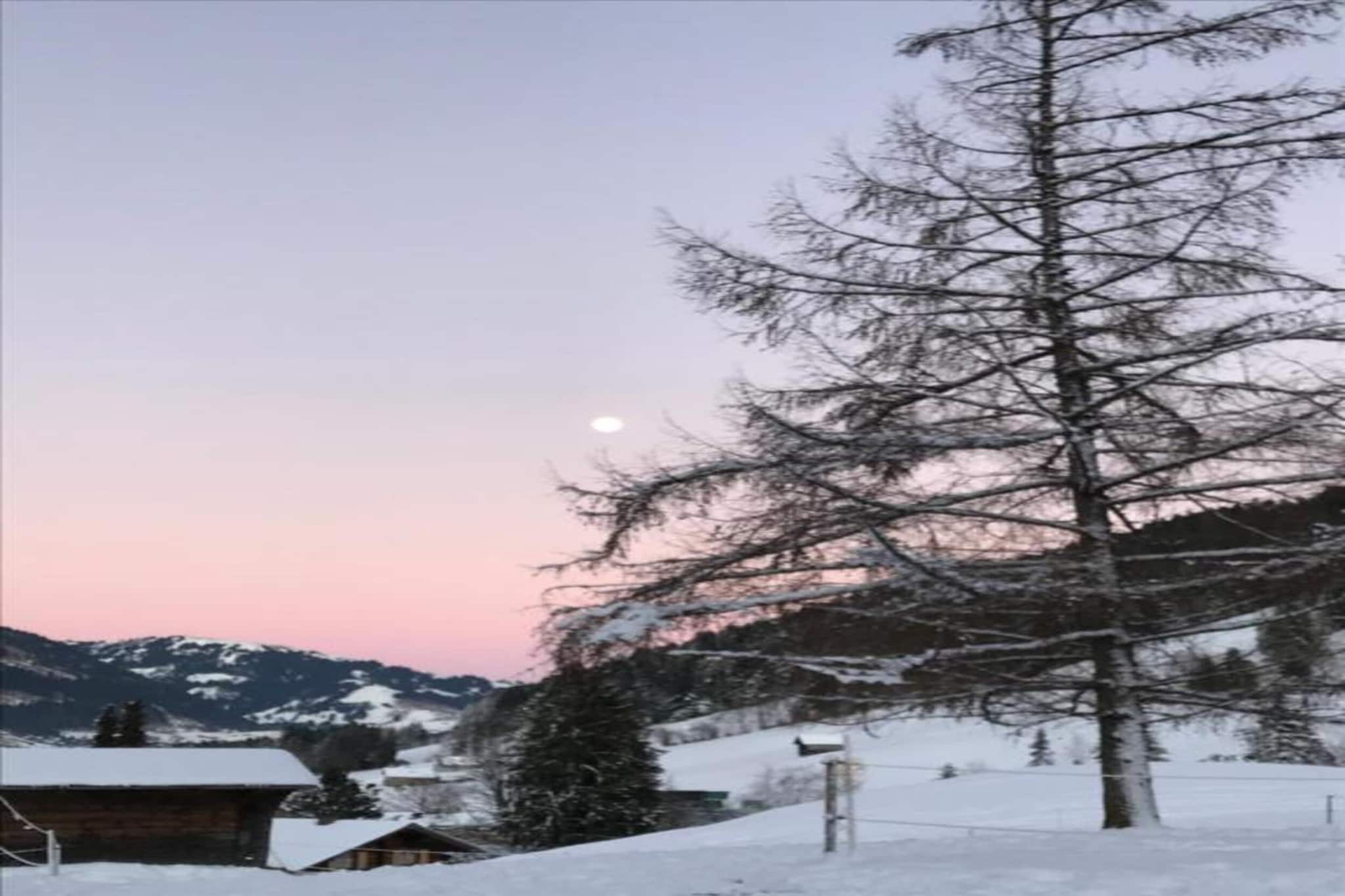 Luxurious Alpine Flat With Hotel Amenities-Gebieden zomer 20km