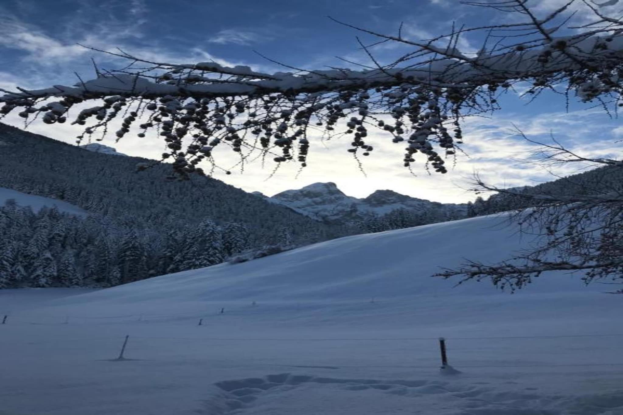 Luxurious Alpine Flat With Hotel Amenities-Gebieden zomer 20km