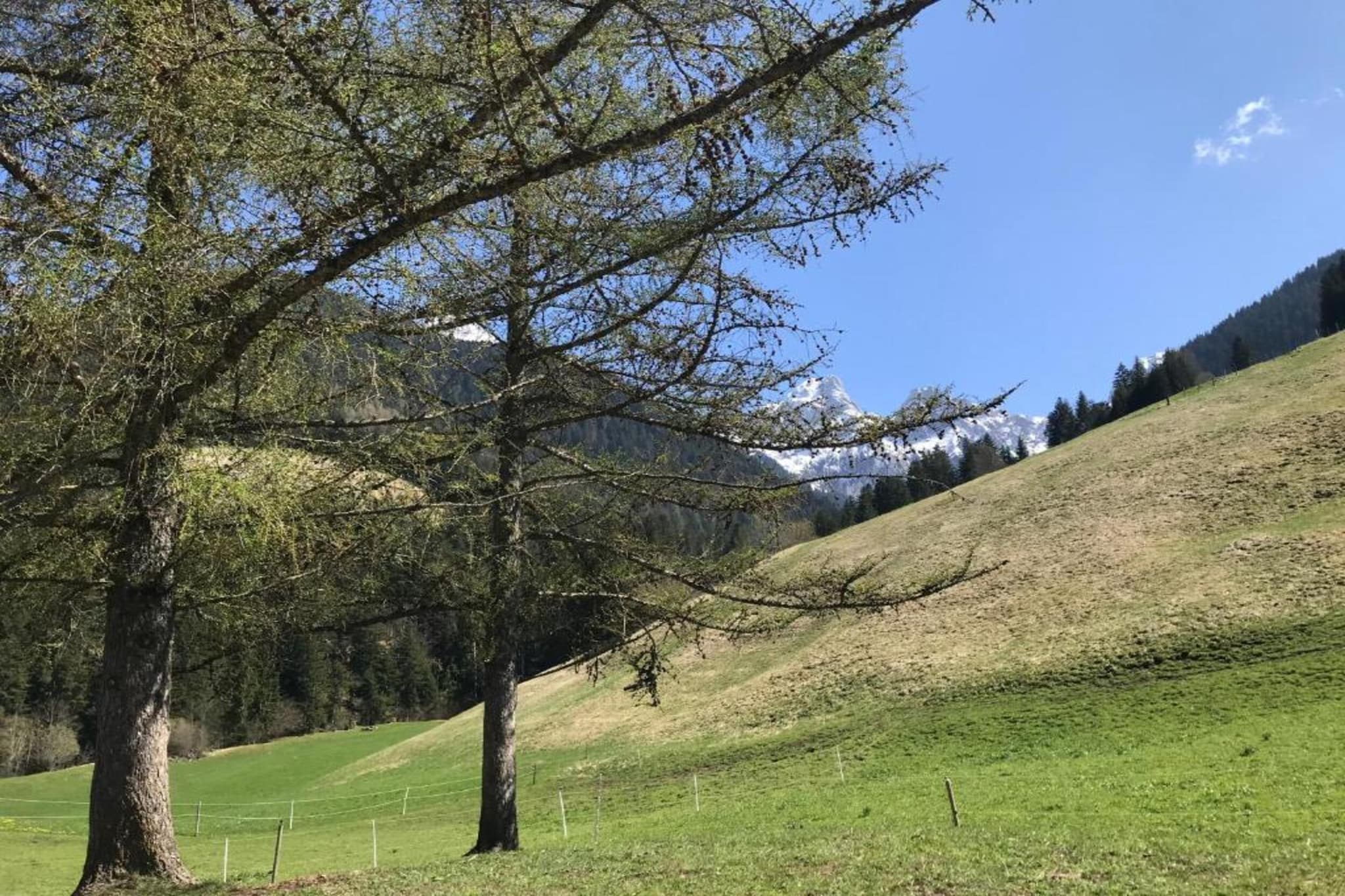 Luxurious Alpine Flat With Hotel Amenities-Gebieden zomer 20km