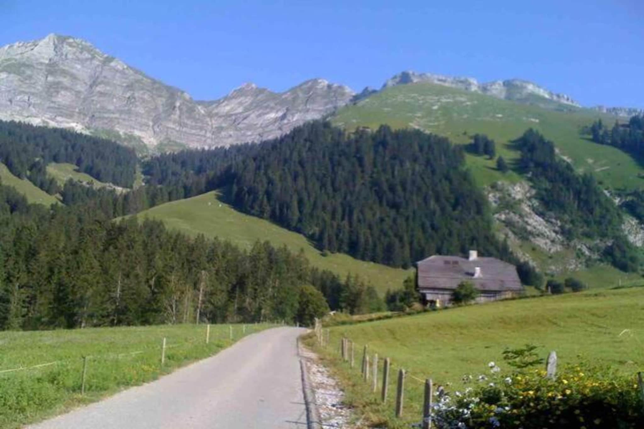 Luxurious Alpine Flat With Hotel Amenities-Gebieden zomer 20km