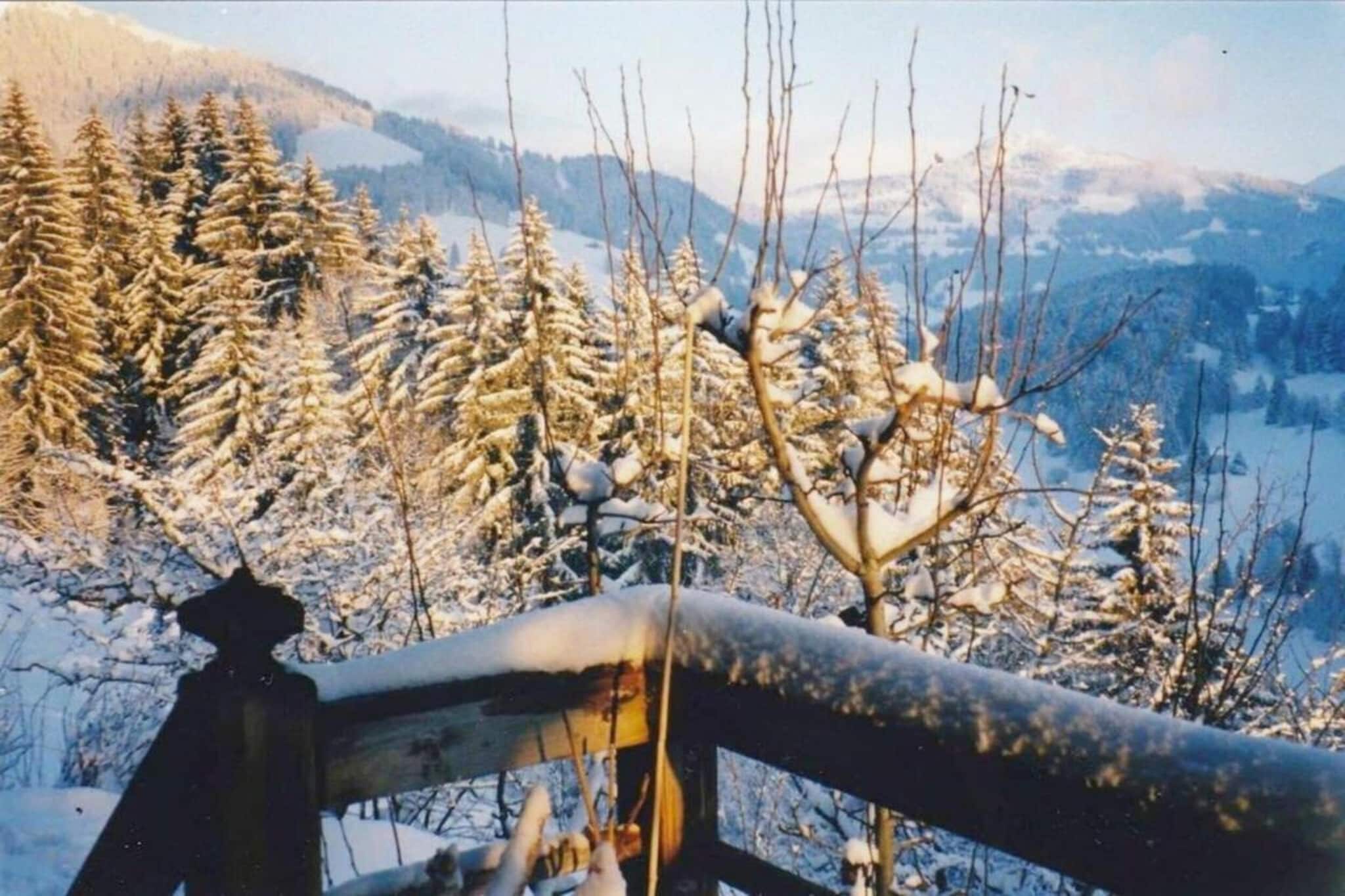 Luxurious Alpine Flat With Hotel Amenities-Gebieden zomer 20km