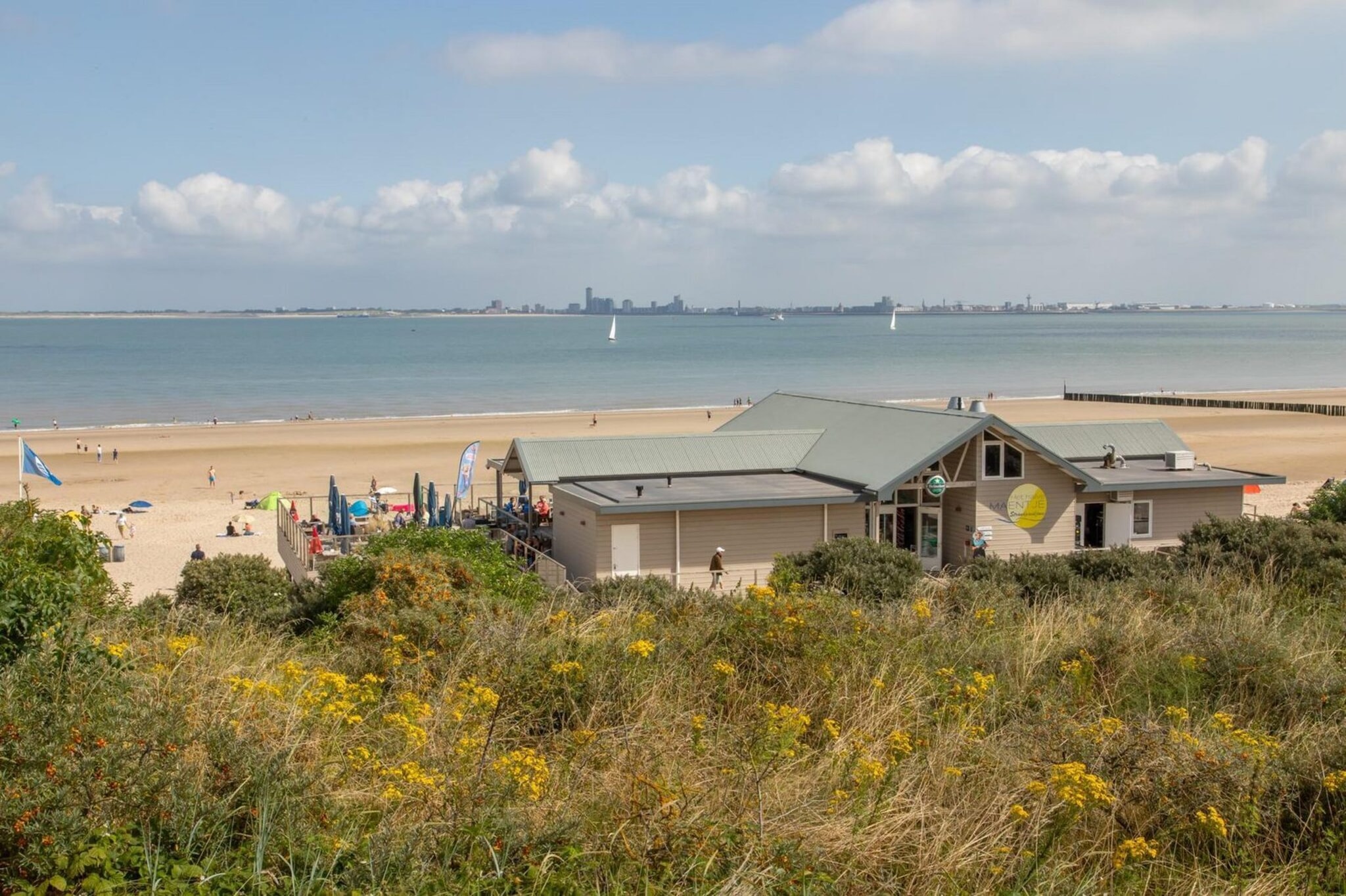 Strandhuis Schoneveld - Areas within 5km in summer