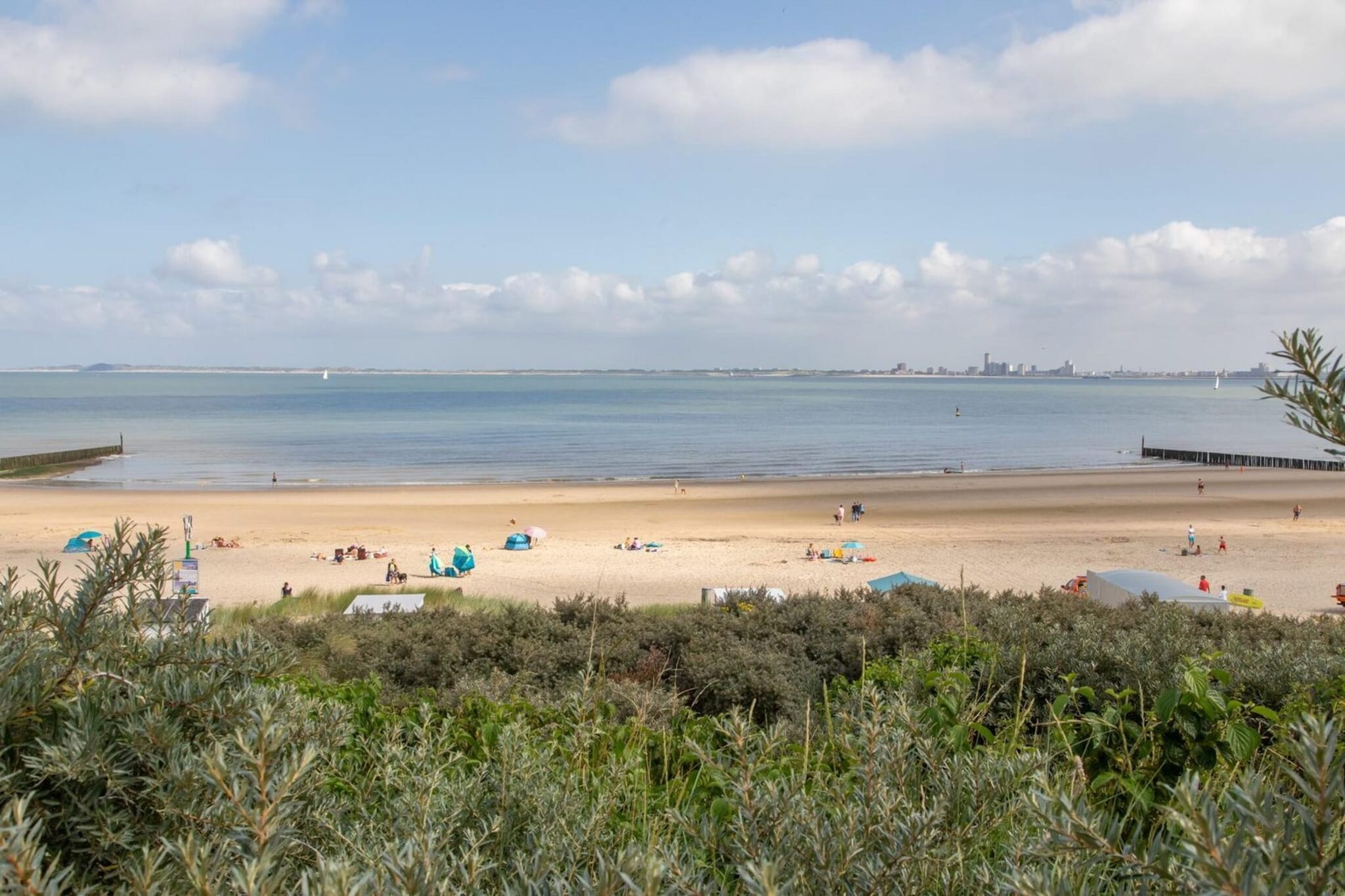 Strandhuis Schoneveld - Areas within 5km in summer