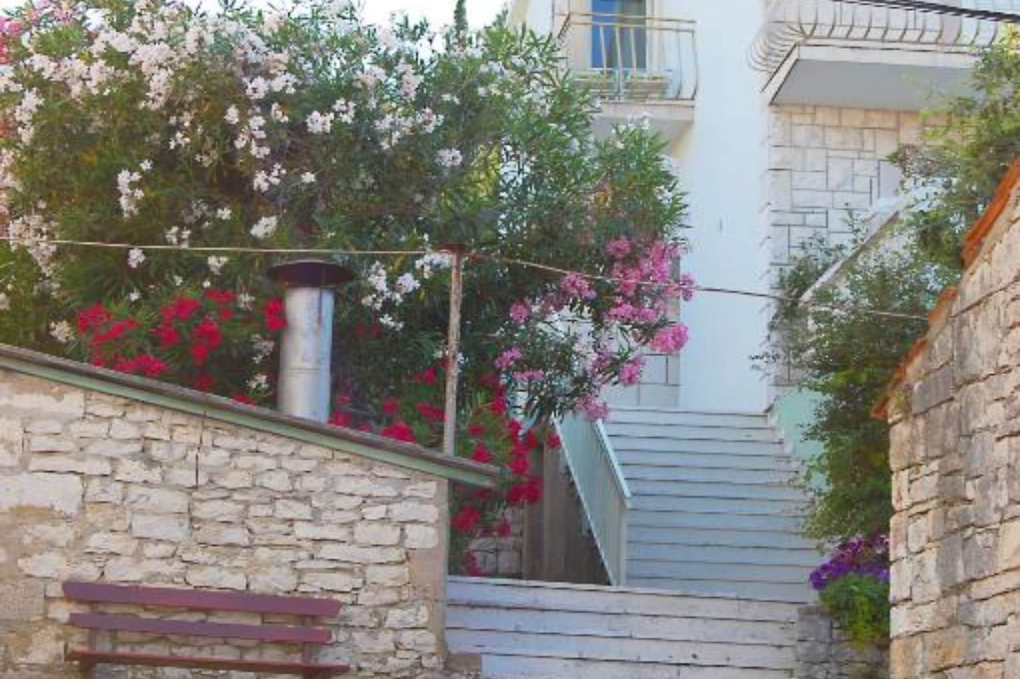 Apartment Jurišić Korčula - One Bedroom Apartment with Terrace-Außenbereich