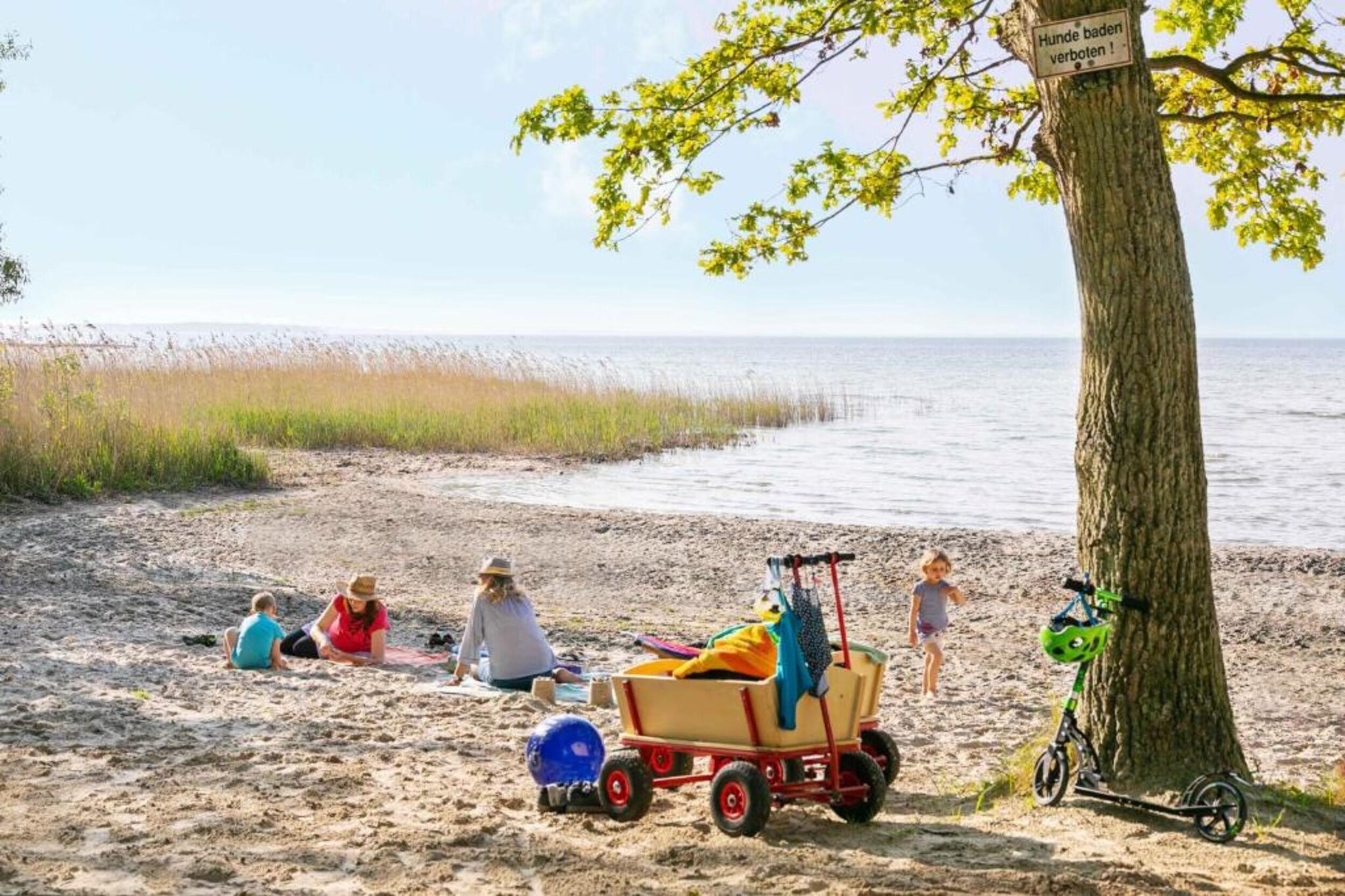 Hafenapartment 623-Gebieden zomer 20km