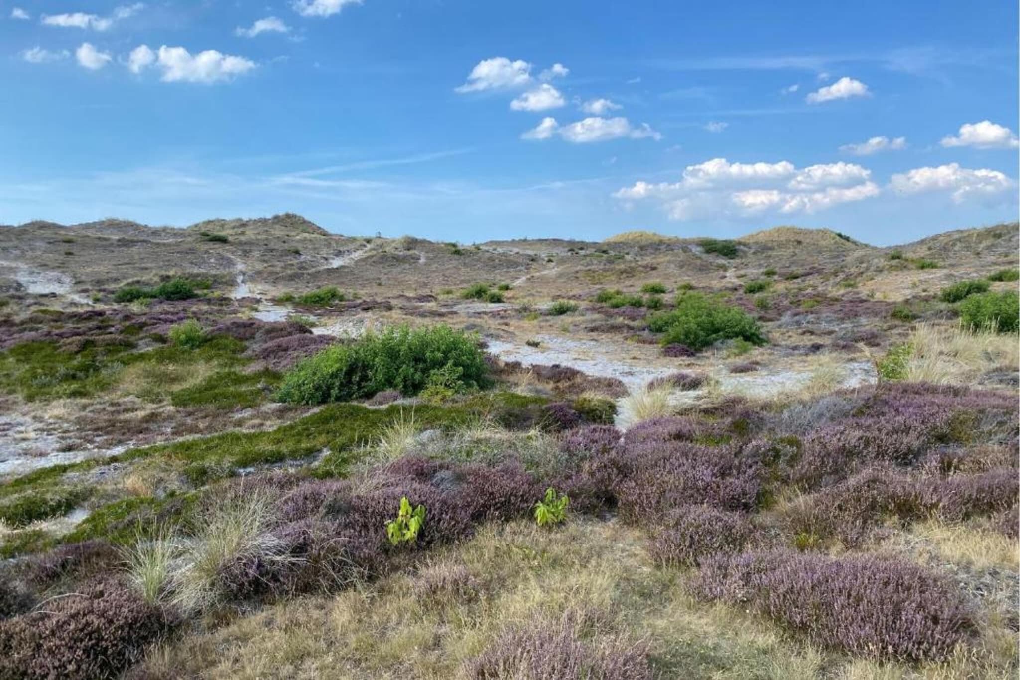 Cosy Hideout-Gebieden zomer 20km