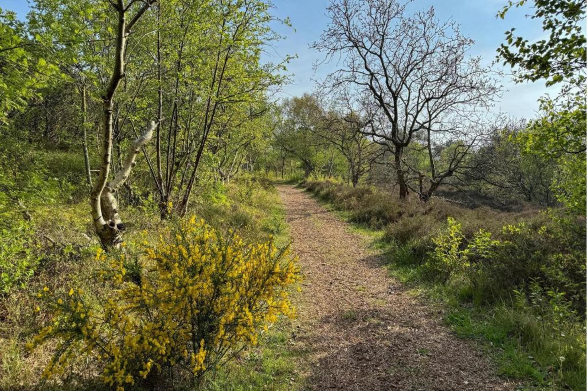 Cosy Hideout-Gebieden zomer 20km
