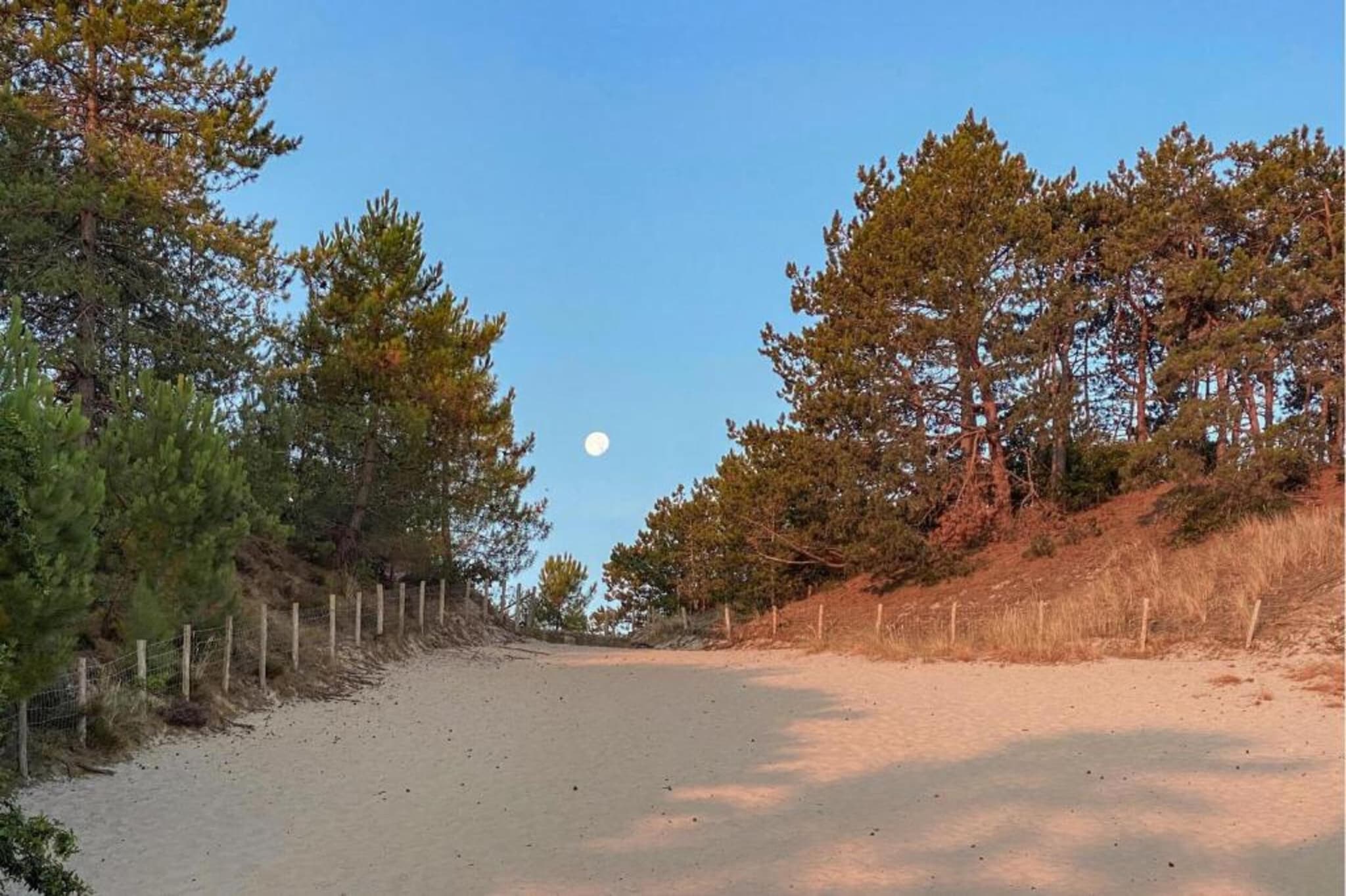Cosy Hideout-Gebieden zomer 20km