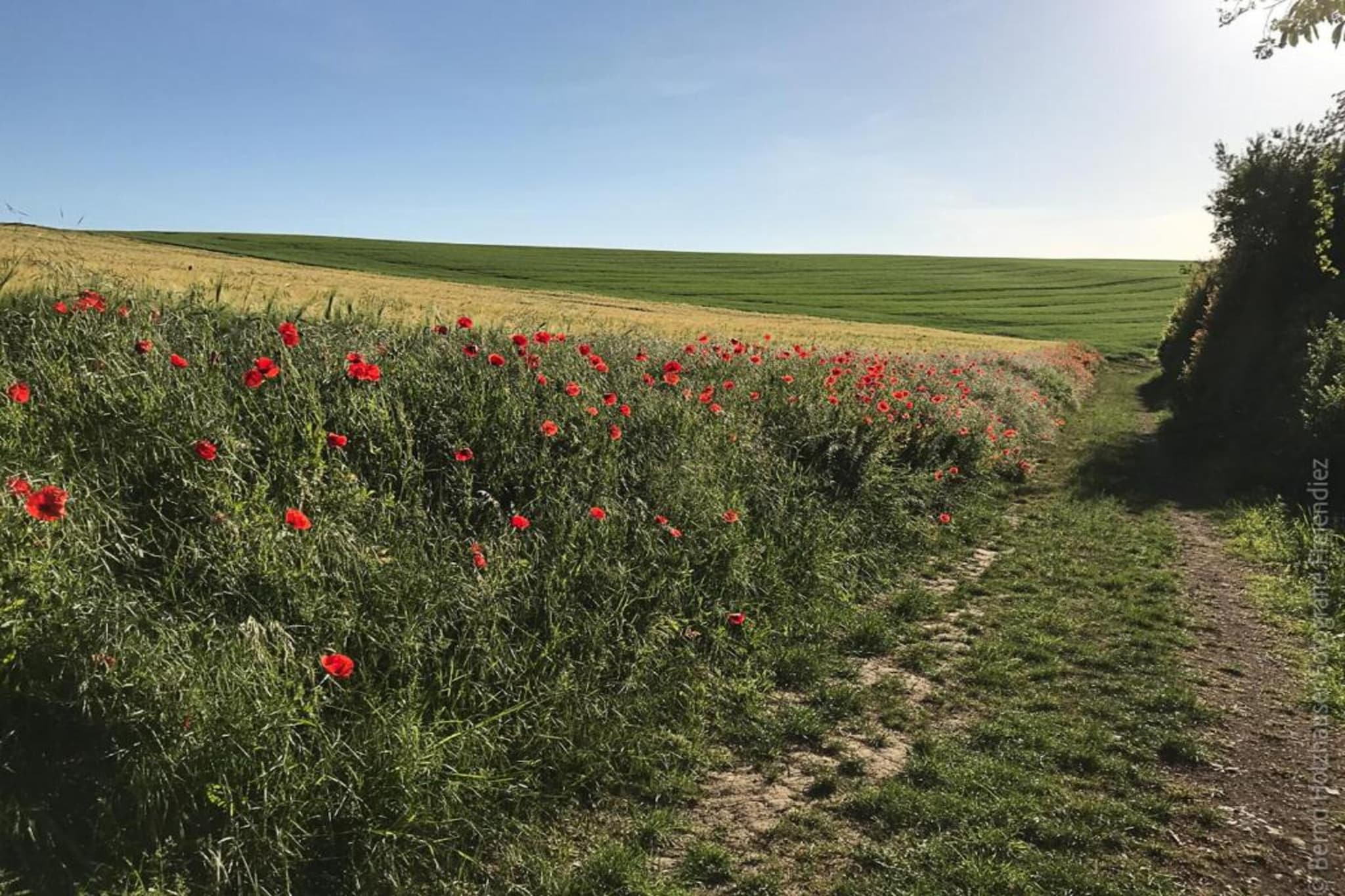 Ferienwohnung zum Zaubergarten-Gebieden zomer 20km