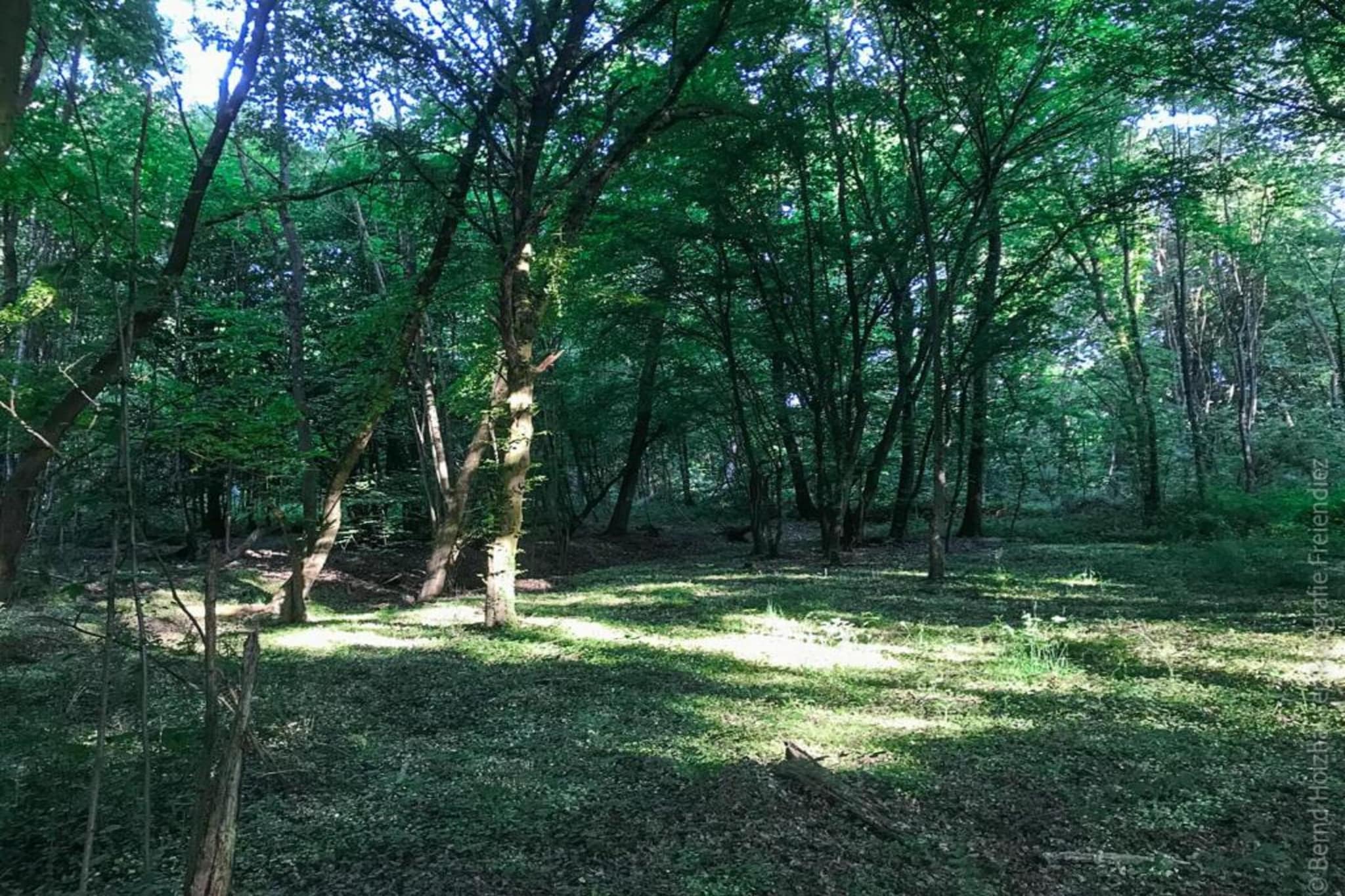 Ferienwohnung zum Zaubergarten-Gebieden zomer 20km