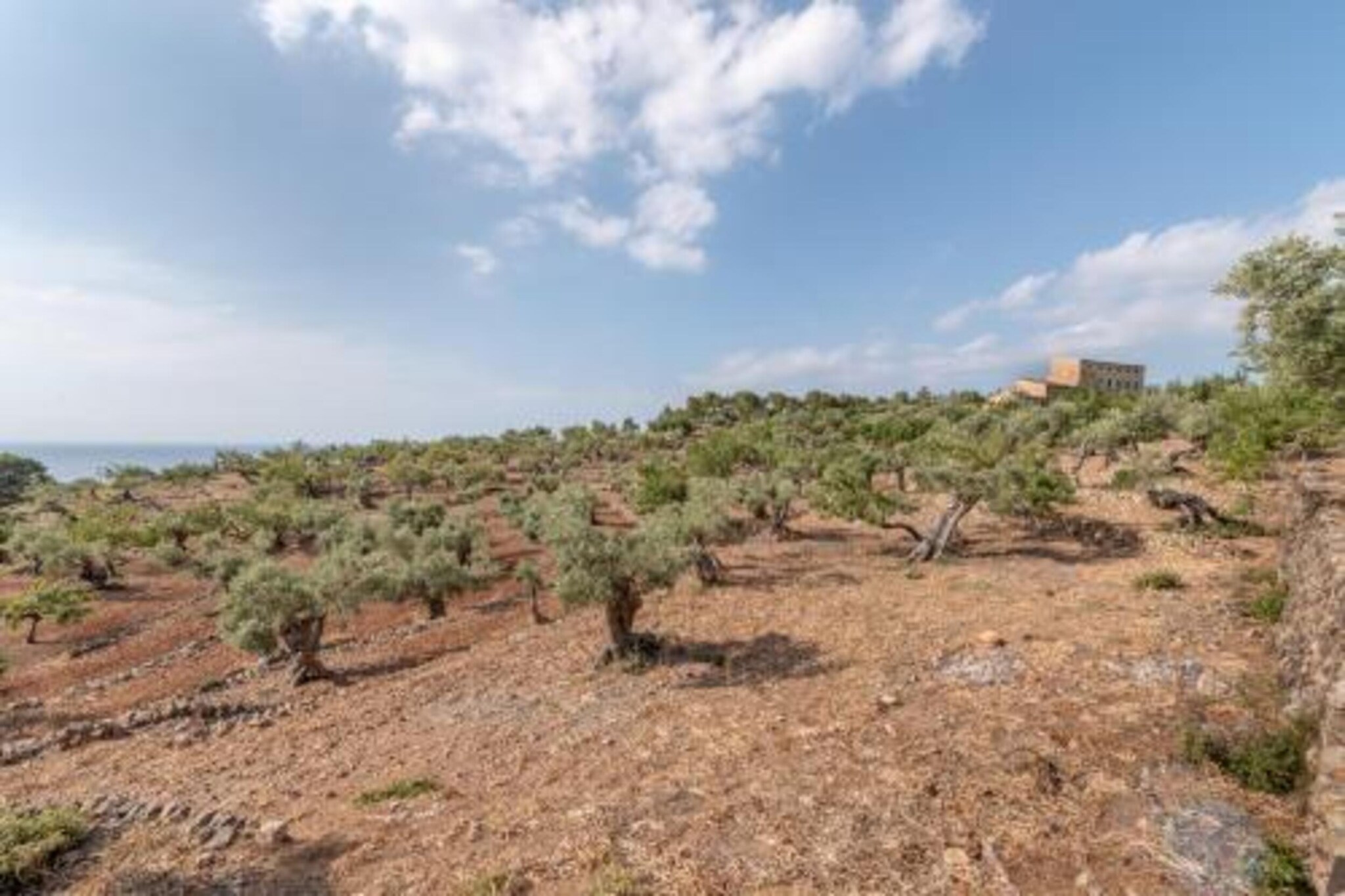 Camping del Mar BUNGALOW MEDITERRANI-Gebieden zomer 20km