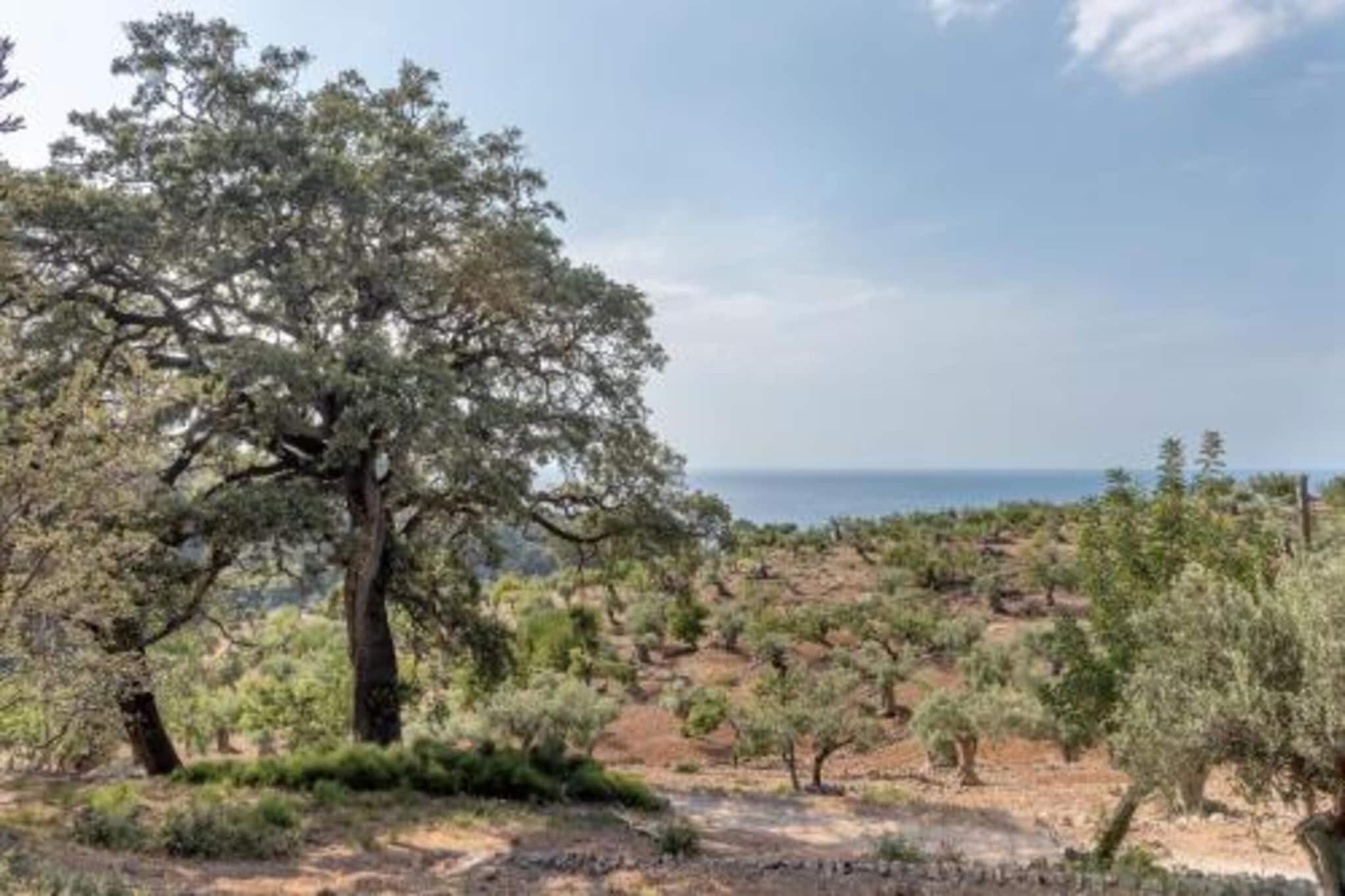 Camping del Mar BUNGALOW MEDITERRANI-Gebieden zomer 20km