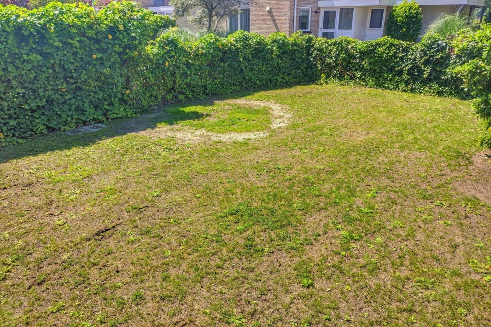 Garden Summer