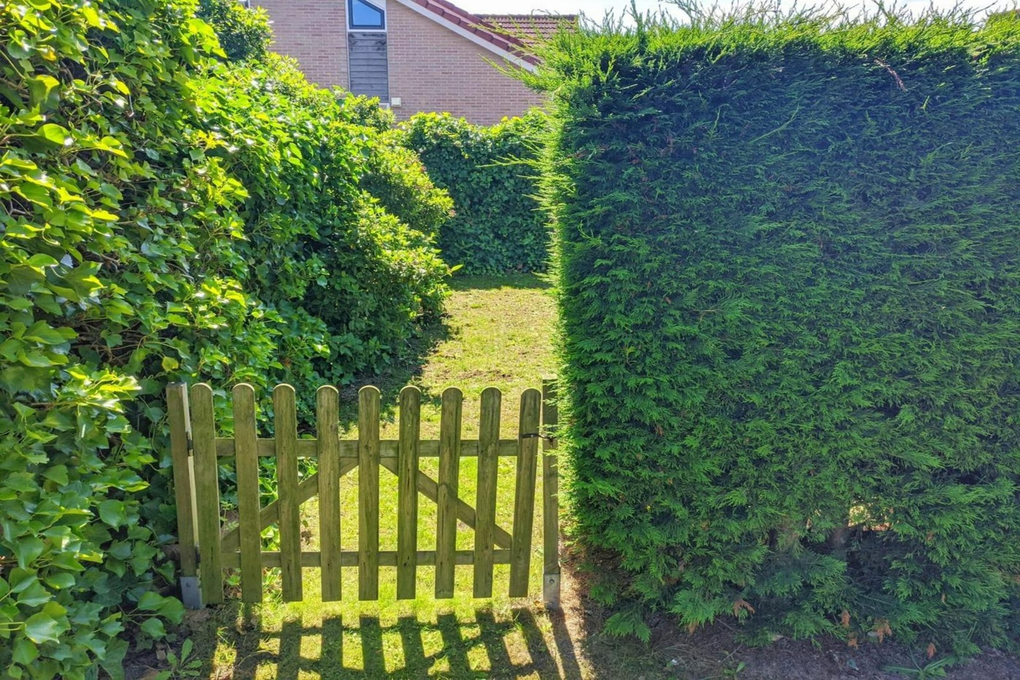 Garden Summer