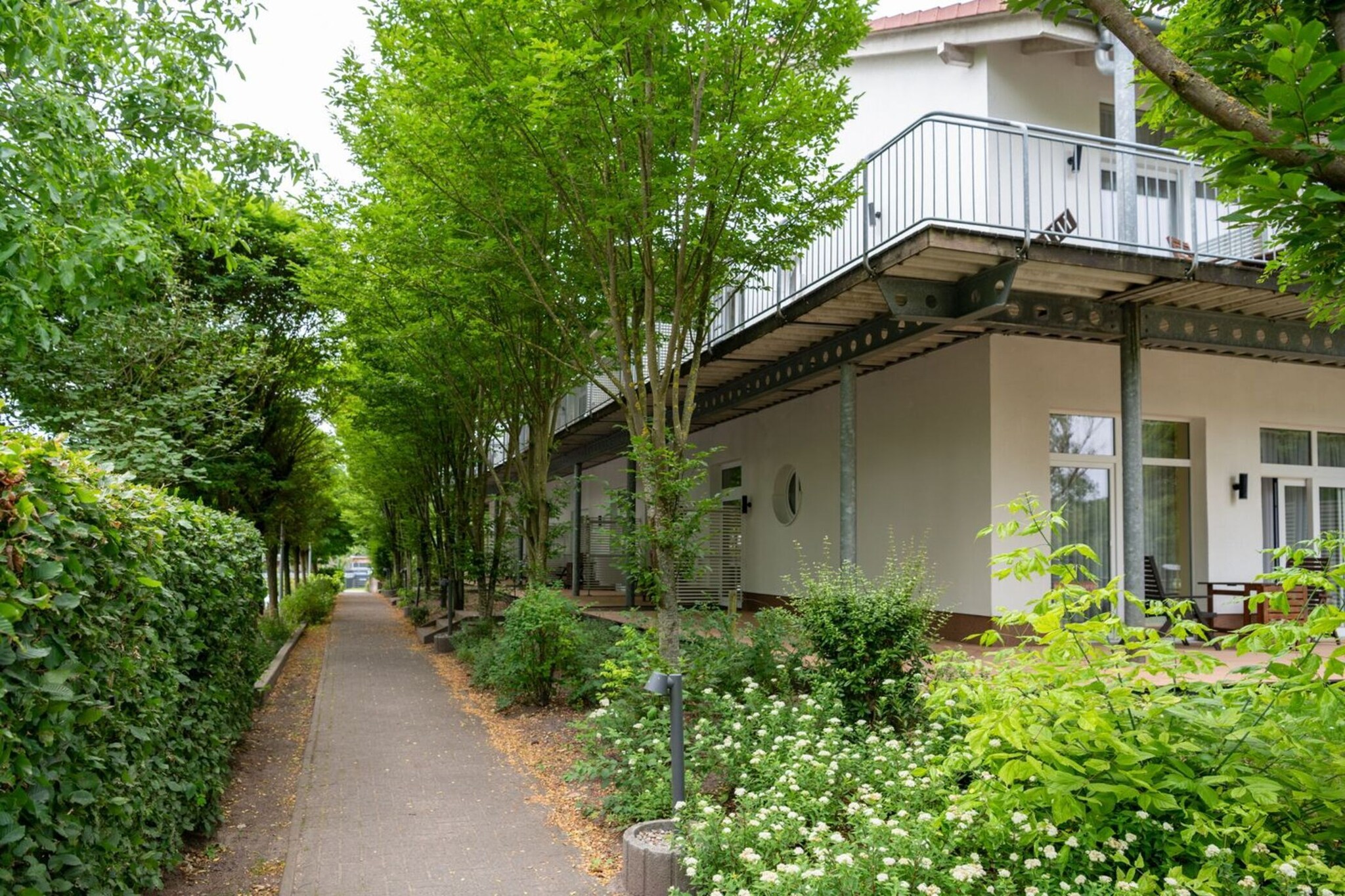 Exterior Summer