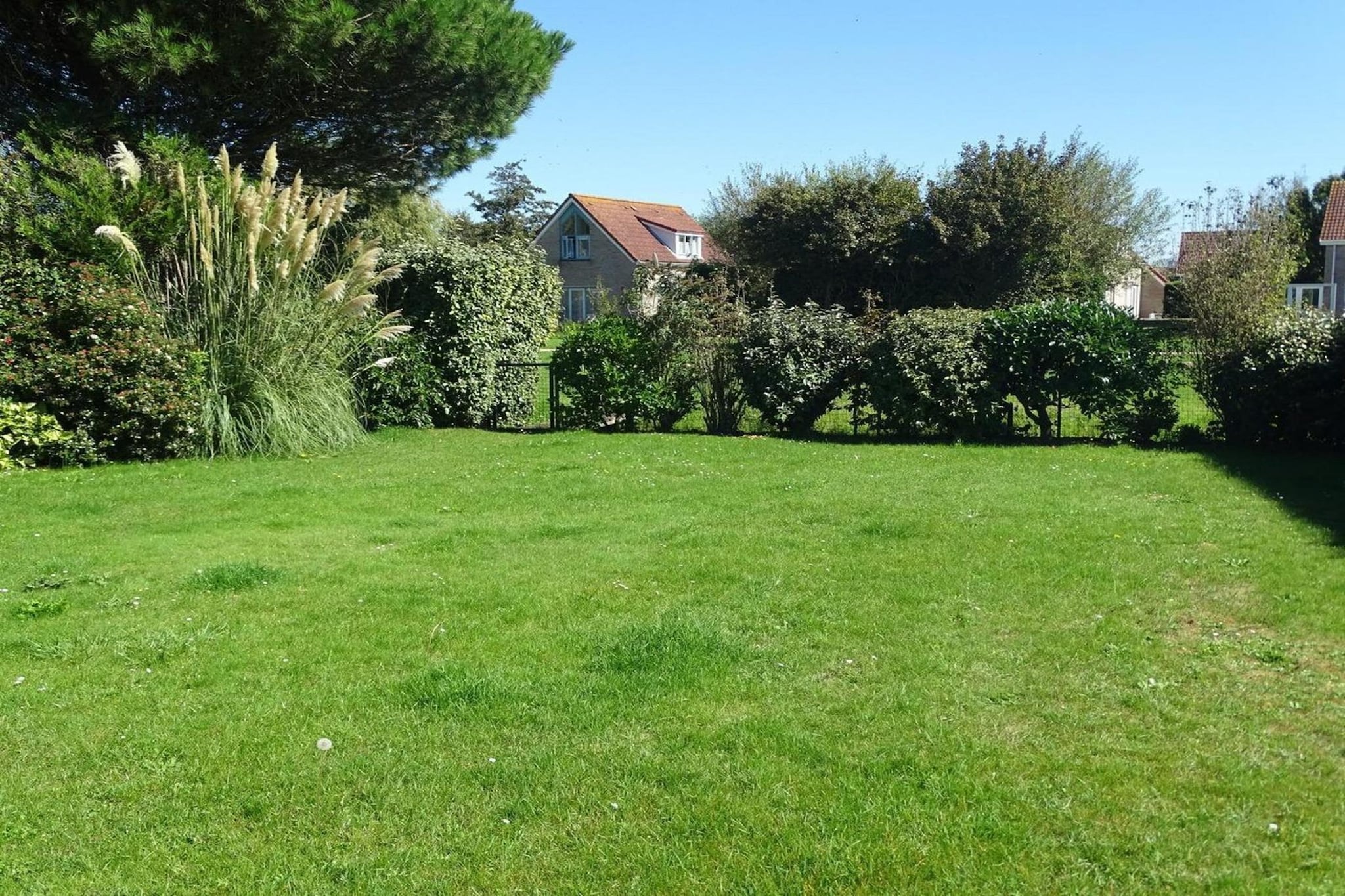 Garden Summer