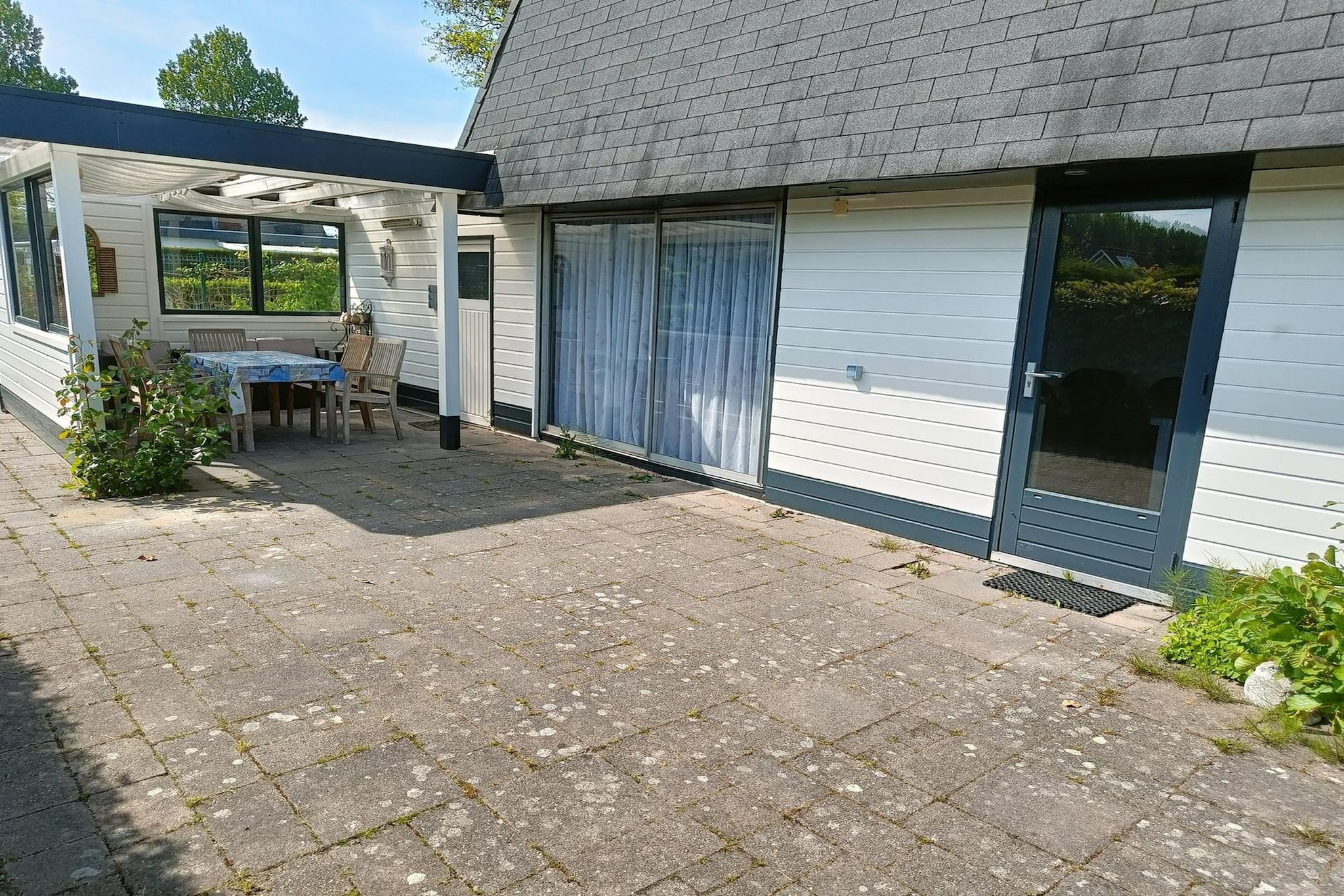 Schoneveld 39 Zeester Breskens - Buitenkant zomer