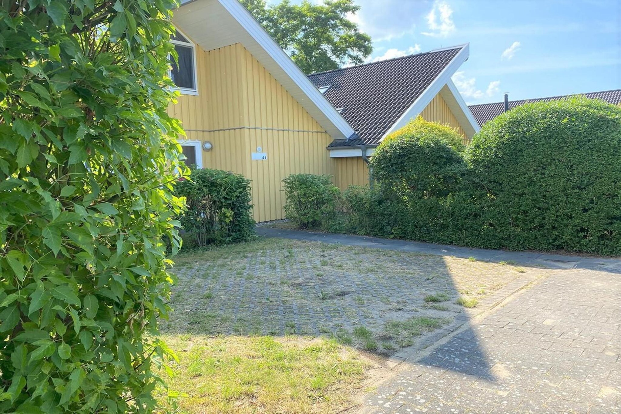 Garden Summer