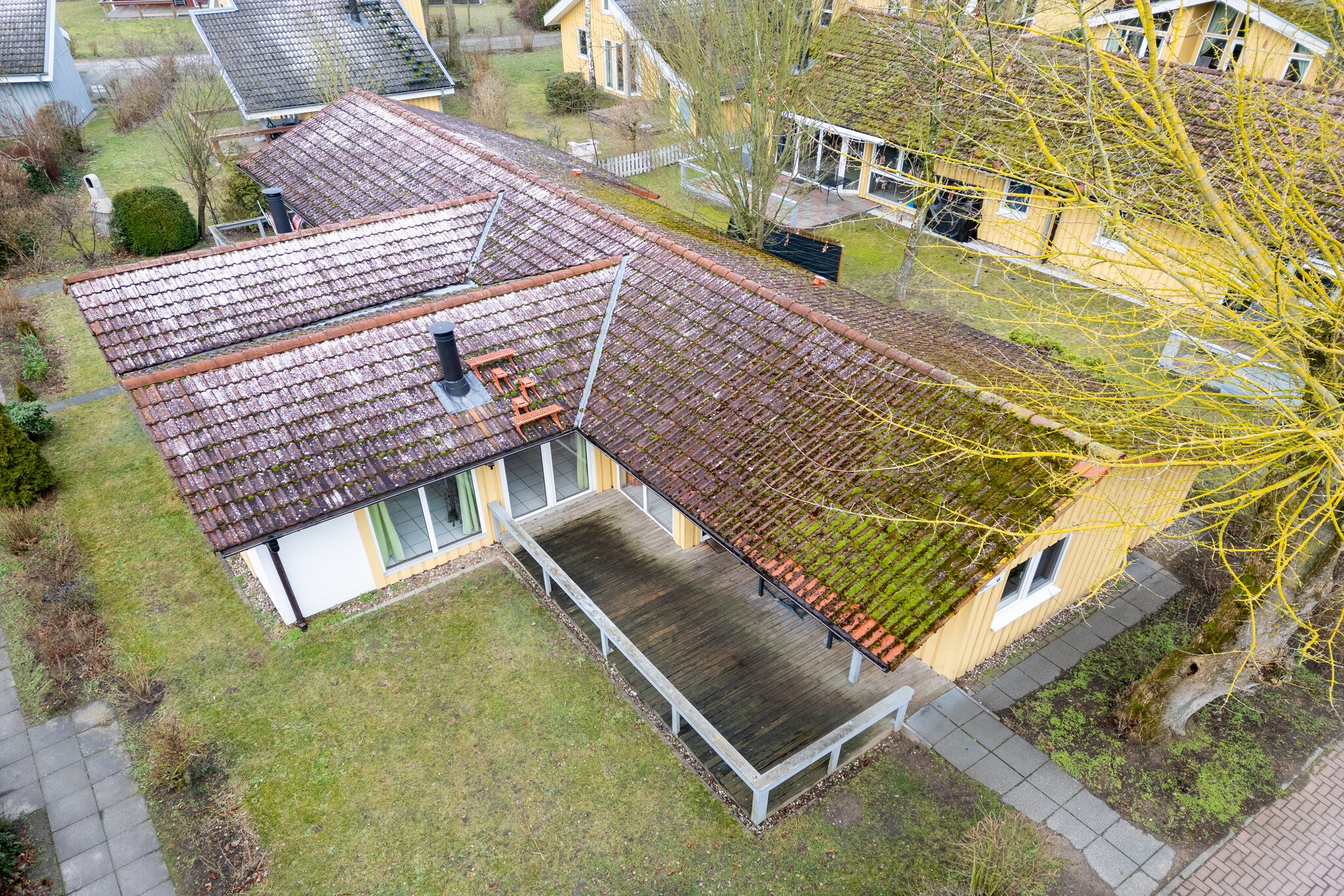 Reiher 24-Garten Sommer
