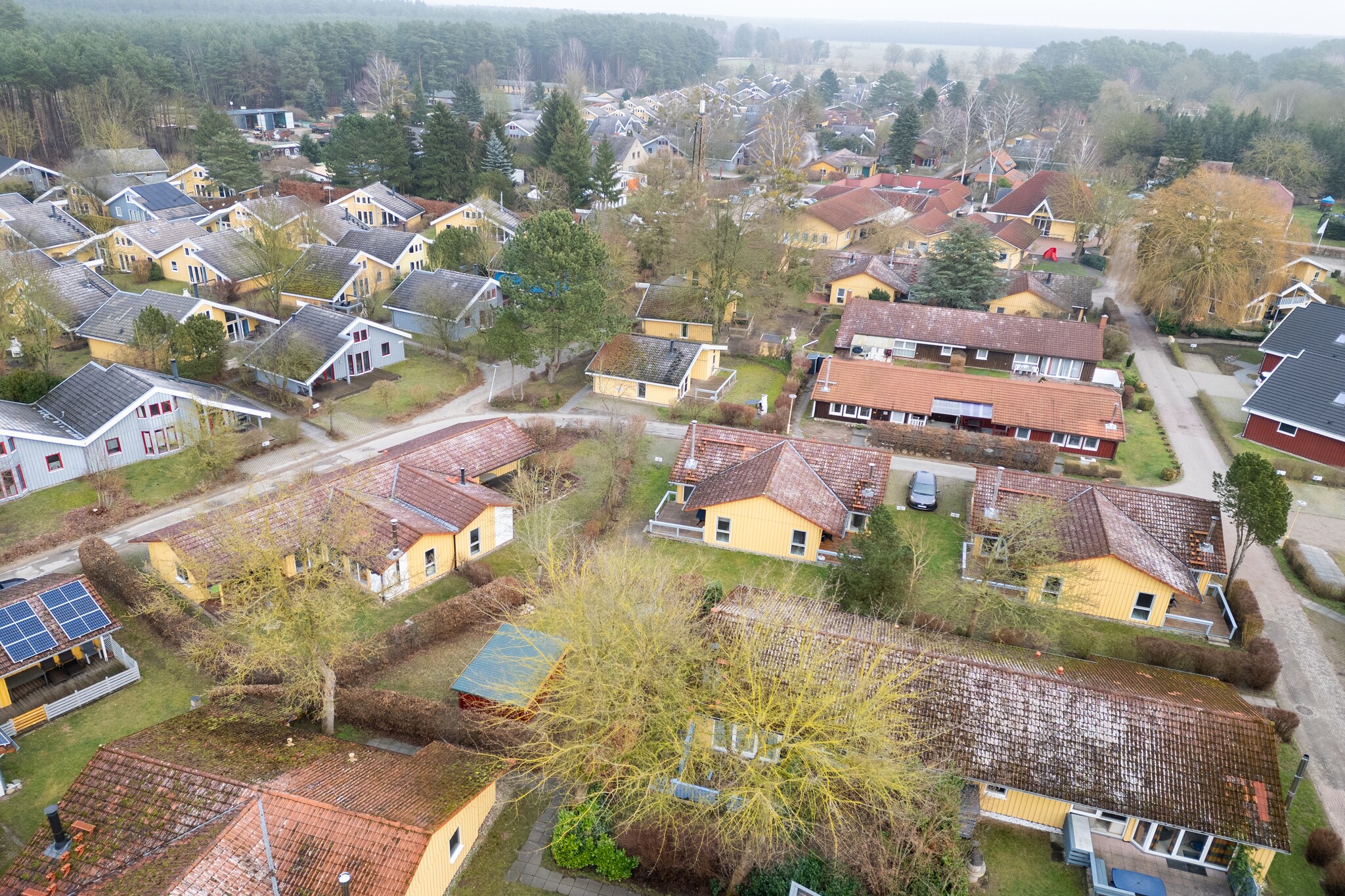Reiher 24-Gebiete Sommer 5 km