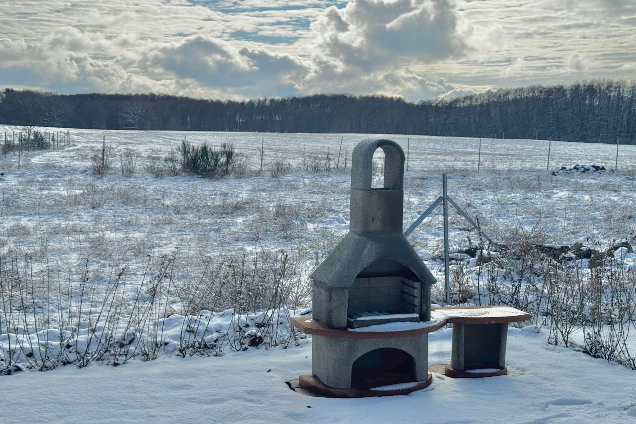 Schwan 308 - Garden in winter