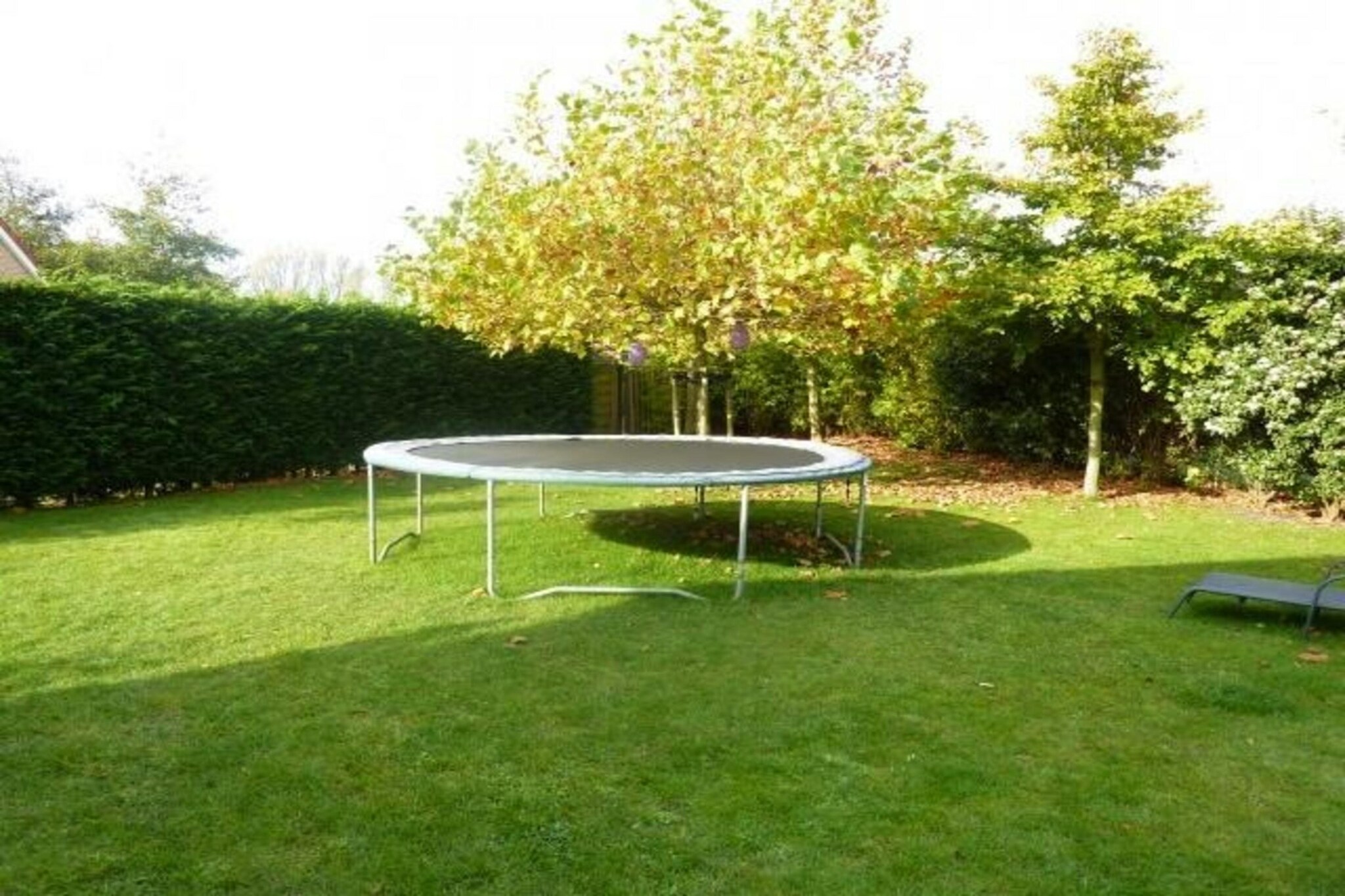 Garden Summer