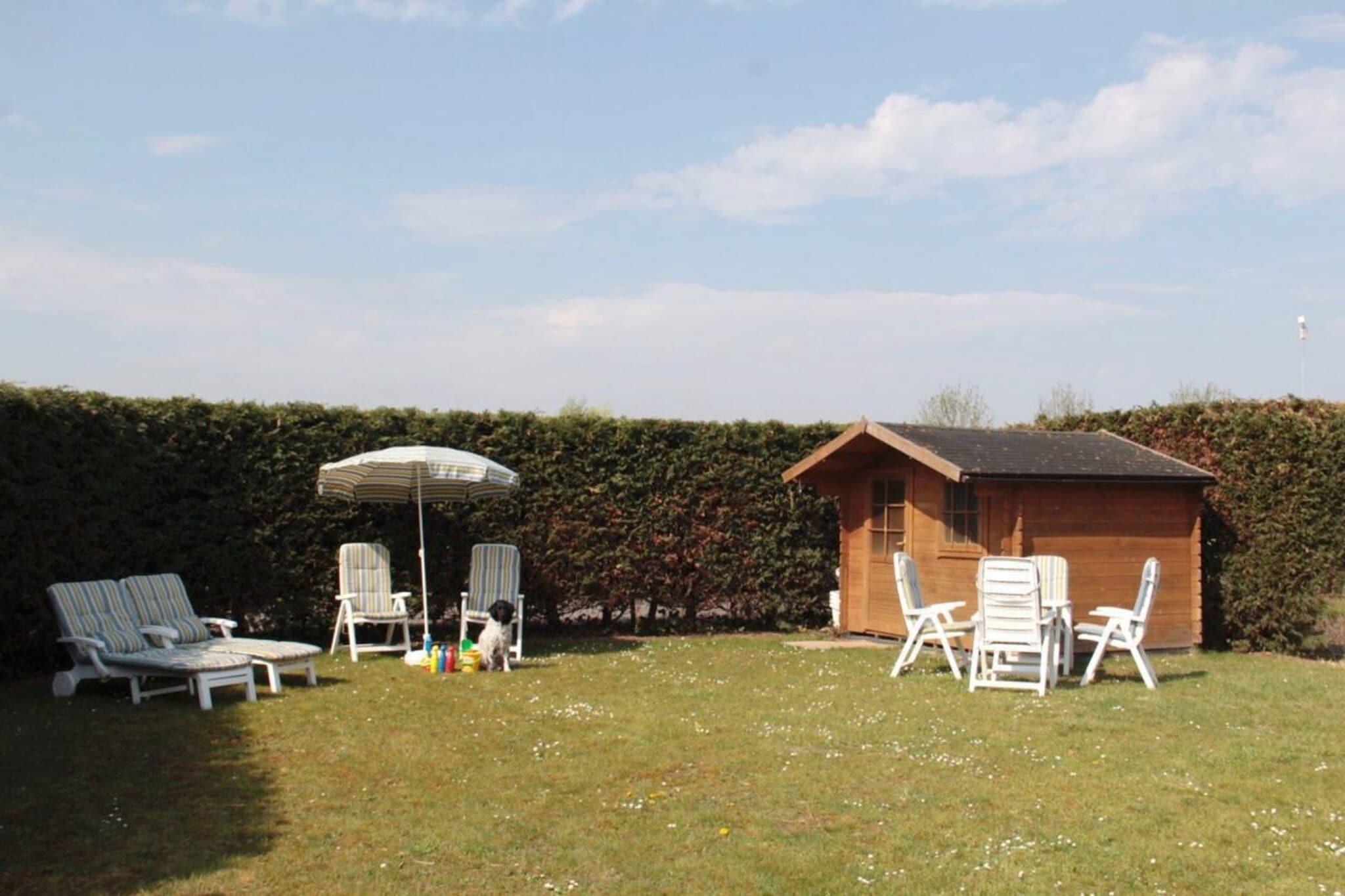 Garden Summer