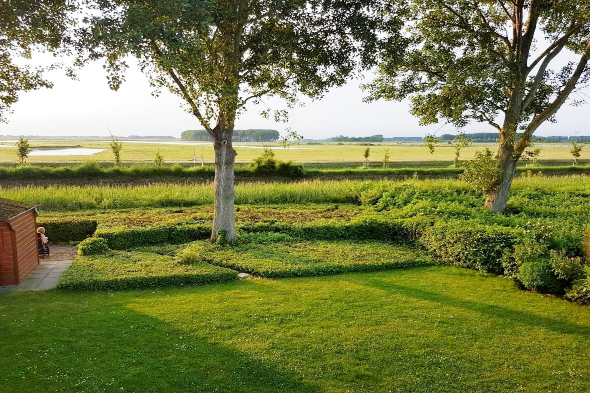 Schoneveld 170 Zeemeeuw Breskens - Garten Sommer