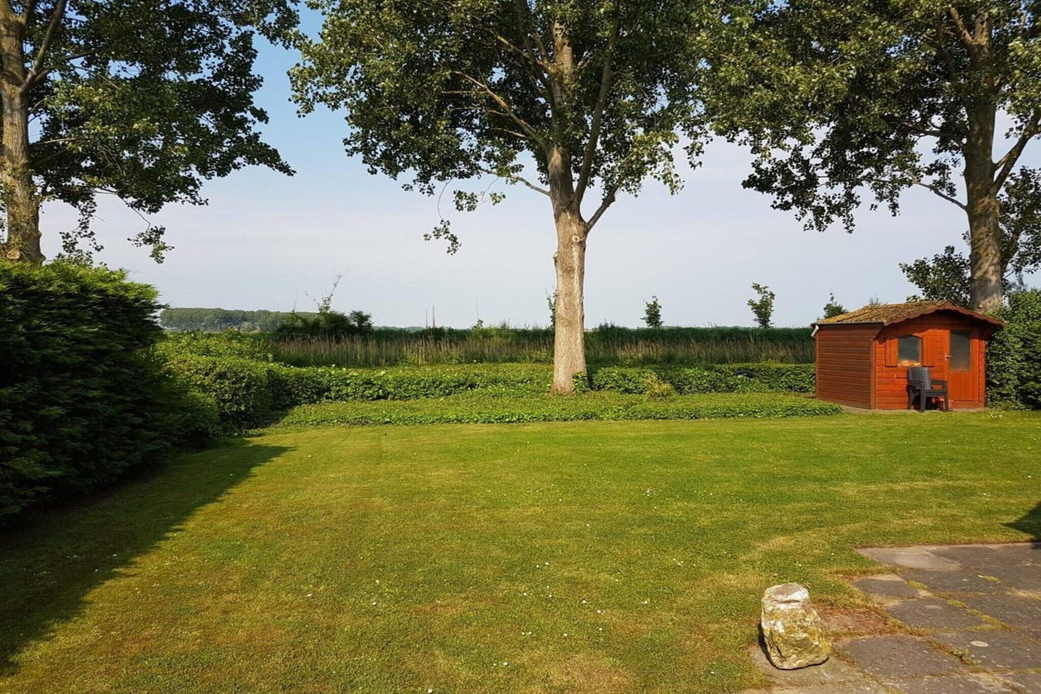 Schoneveld 170 Zeemeeuw Breskens - Tuinen zomer