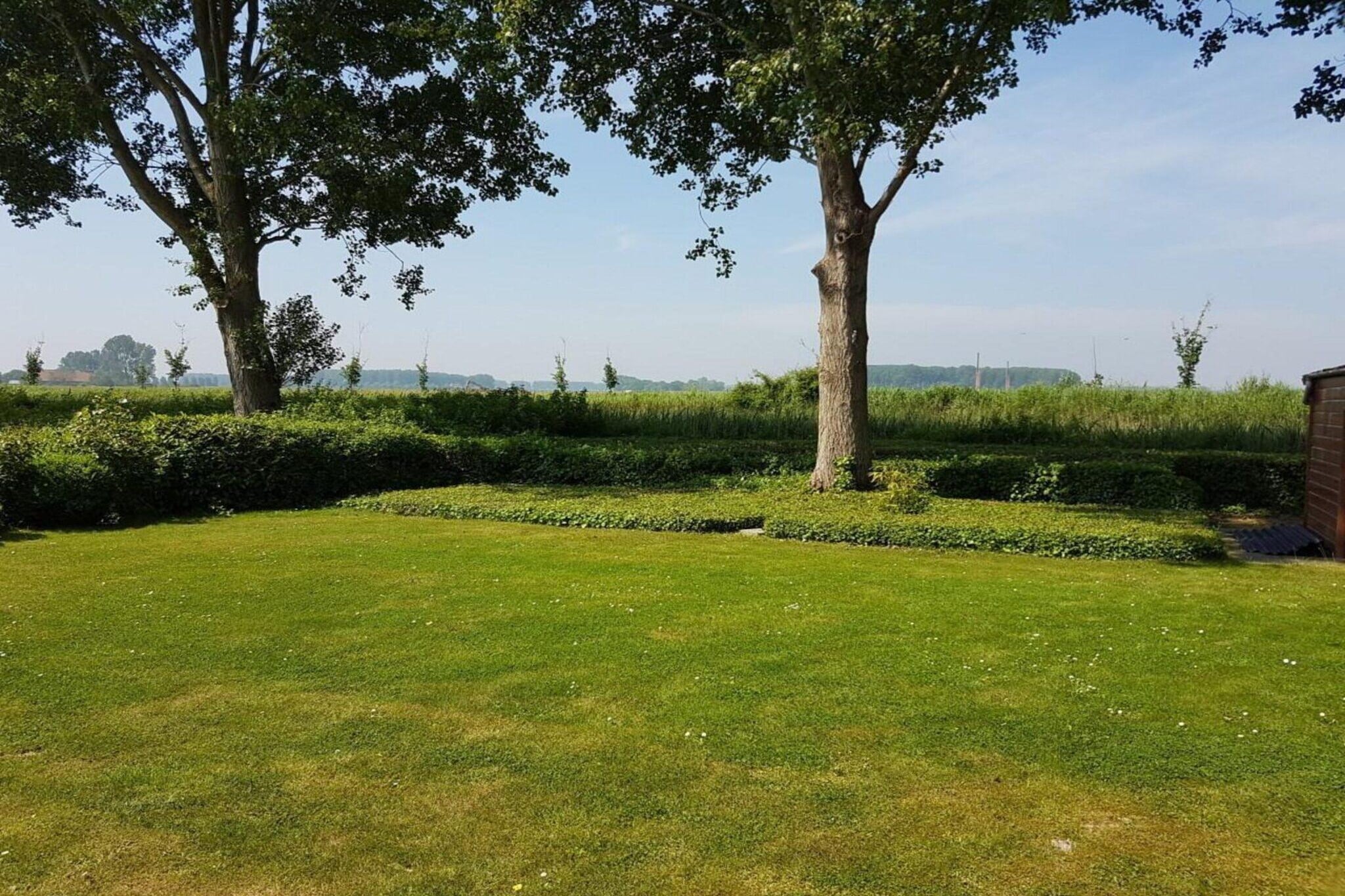 Schoneveld 170 Zeemeeuw Breskens - Tuinen zomer