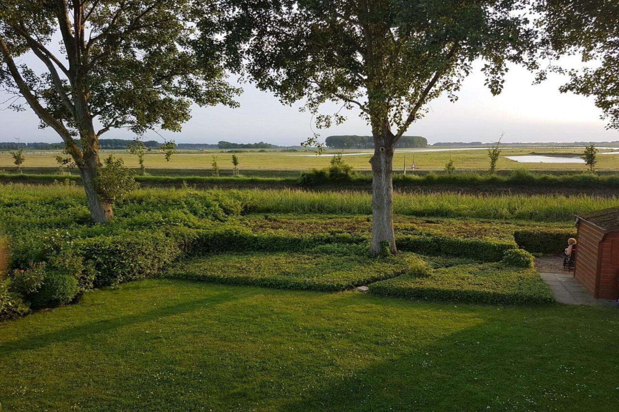 Schoneveld 170 Zeemeeuw Breskens - Tuinen zomer