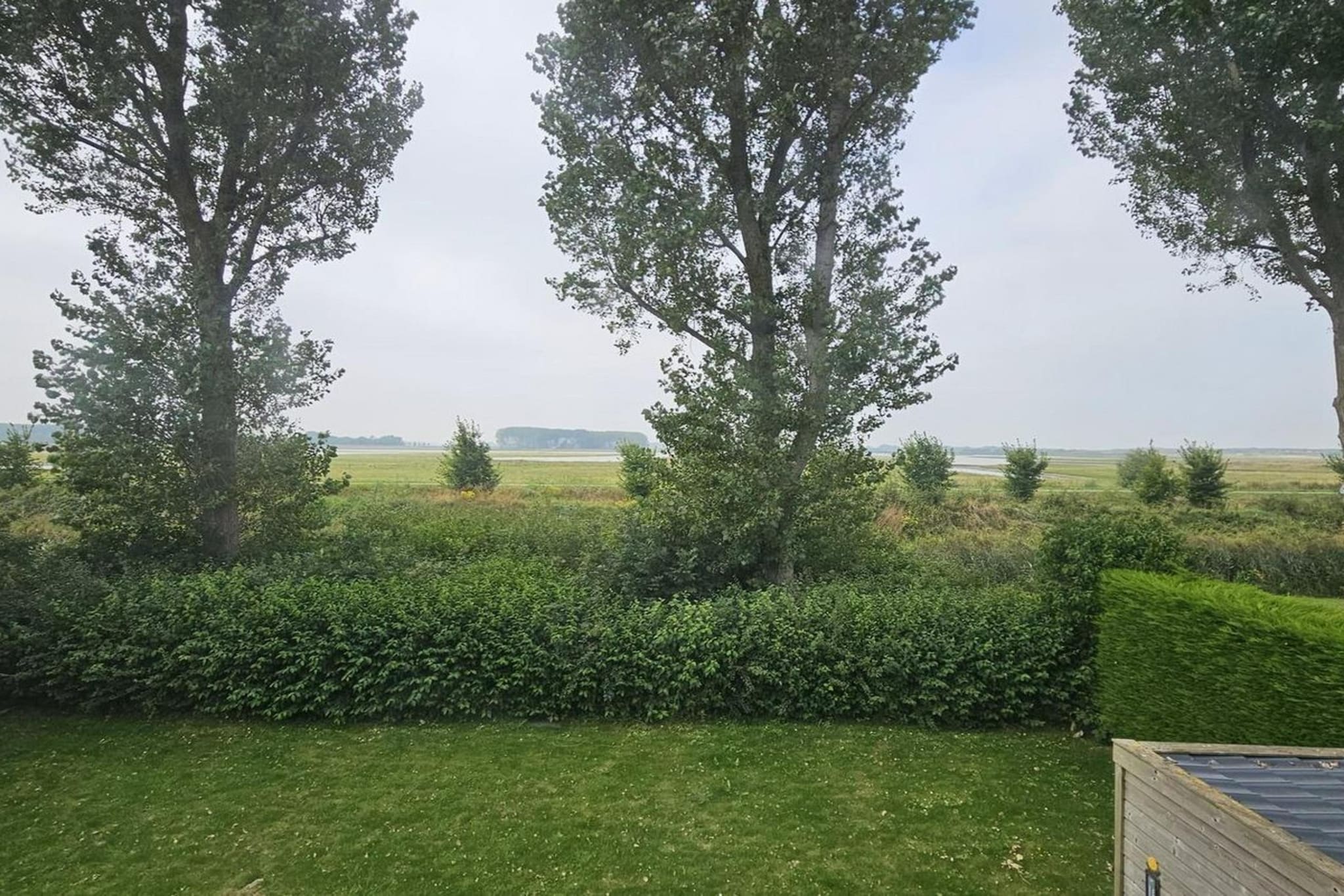 Garden Summer