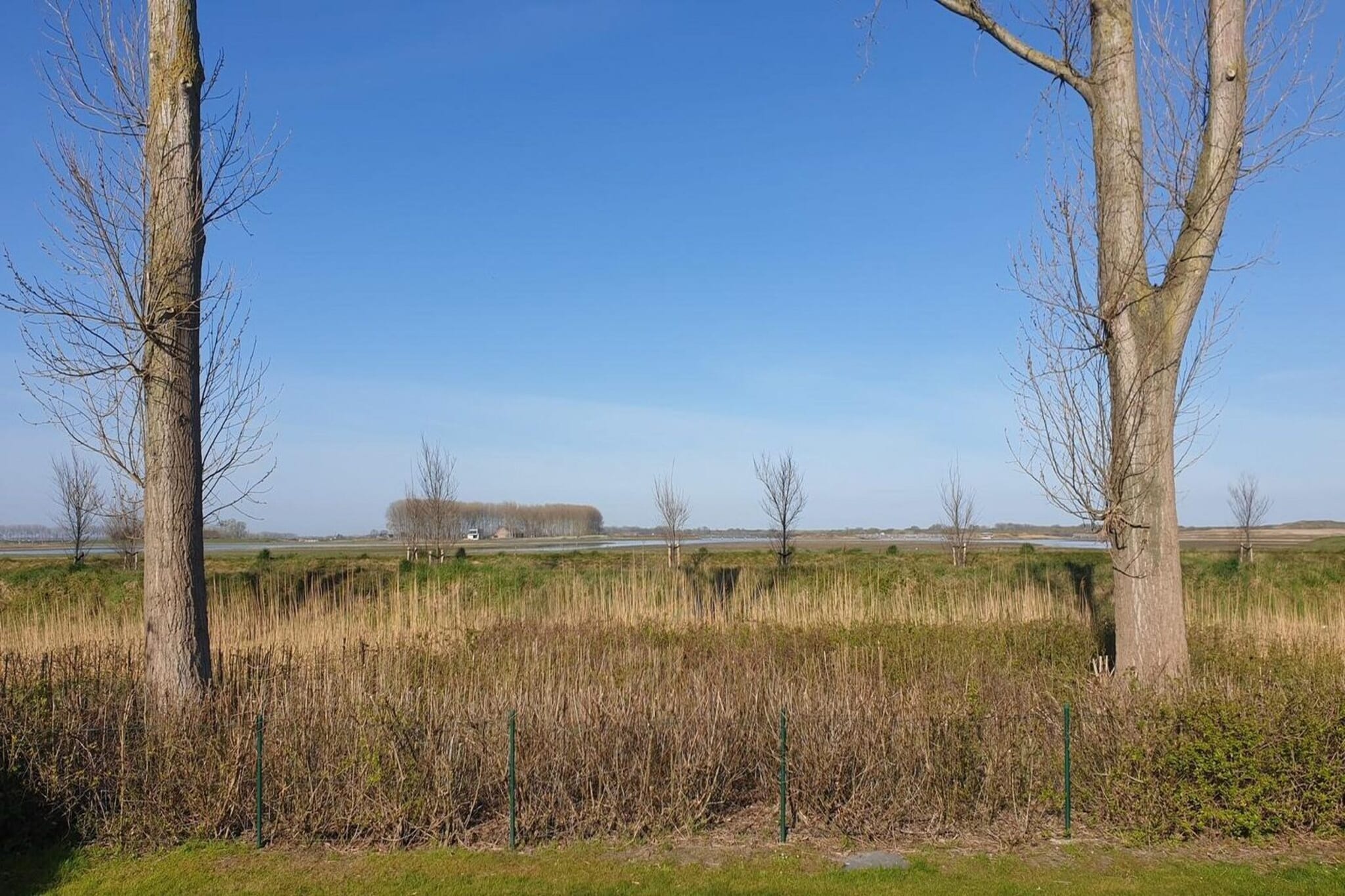 Schoneveld 176 Zeemeeuw Breskens