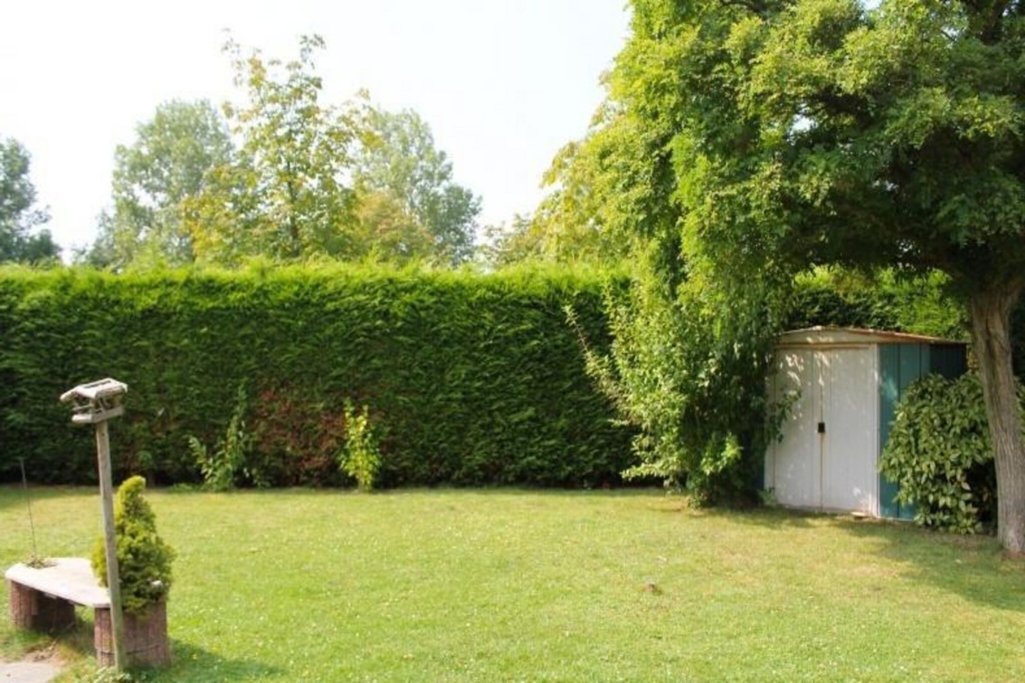 Garden Summer
