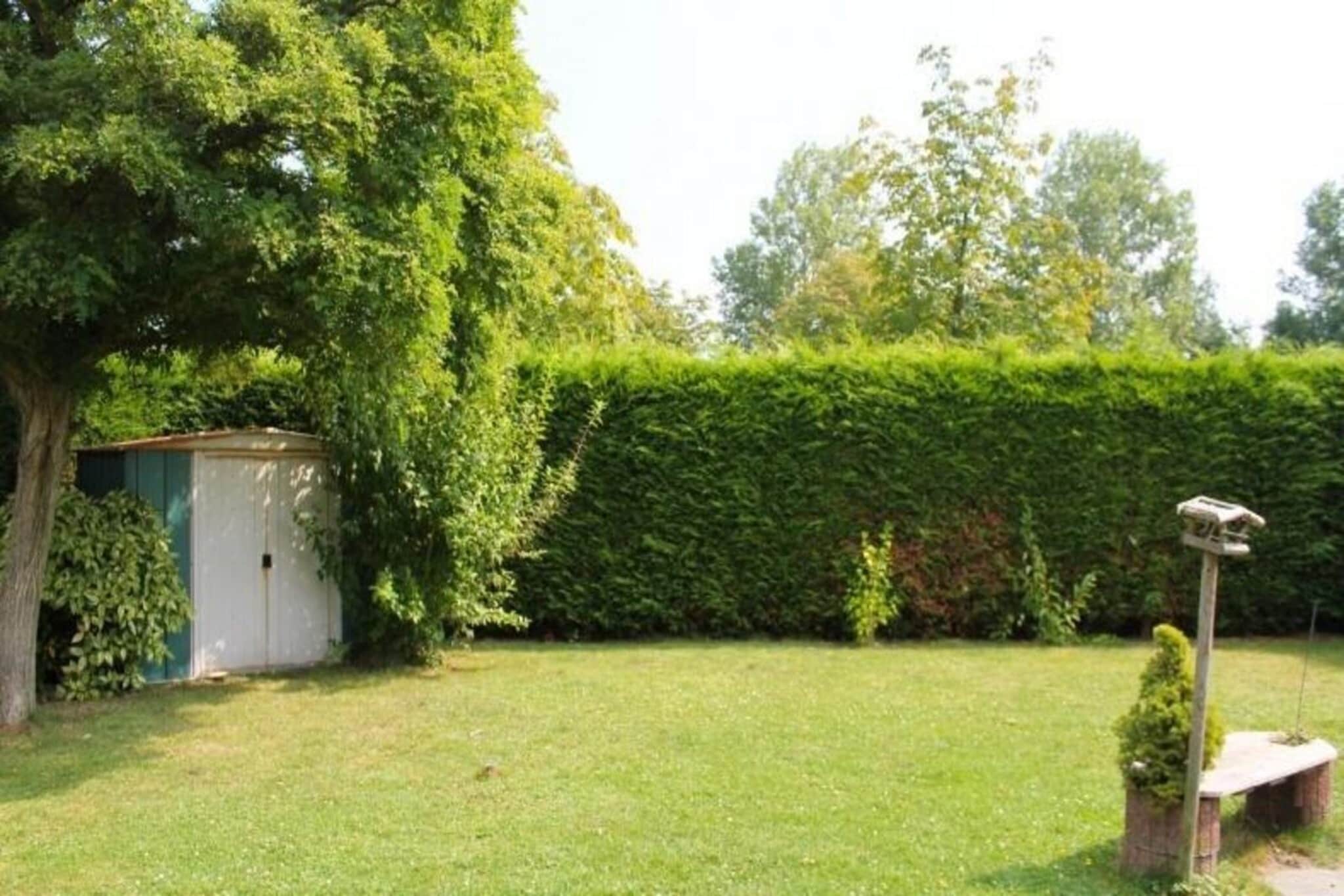 Garden Summer
